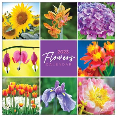 TF Publishing 2023 Flowers Wall Calendar | Michaels