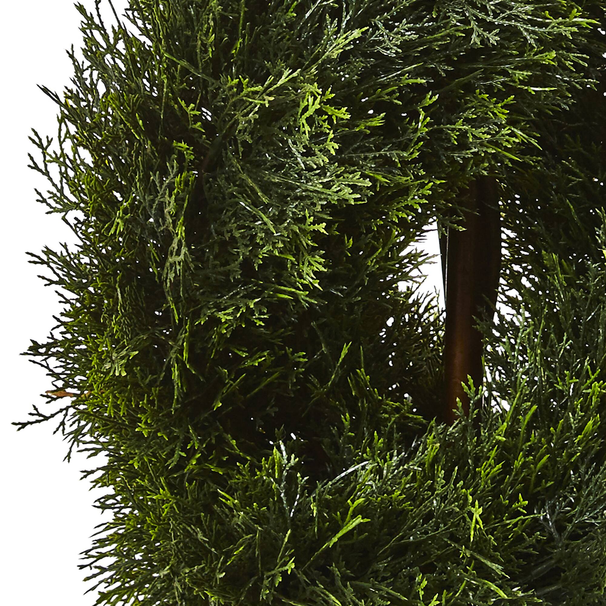 4ft. Potted Double Pond Cypress Spiral Topiary Tree