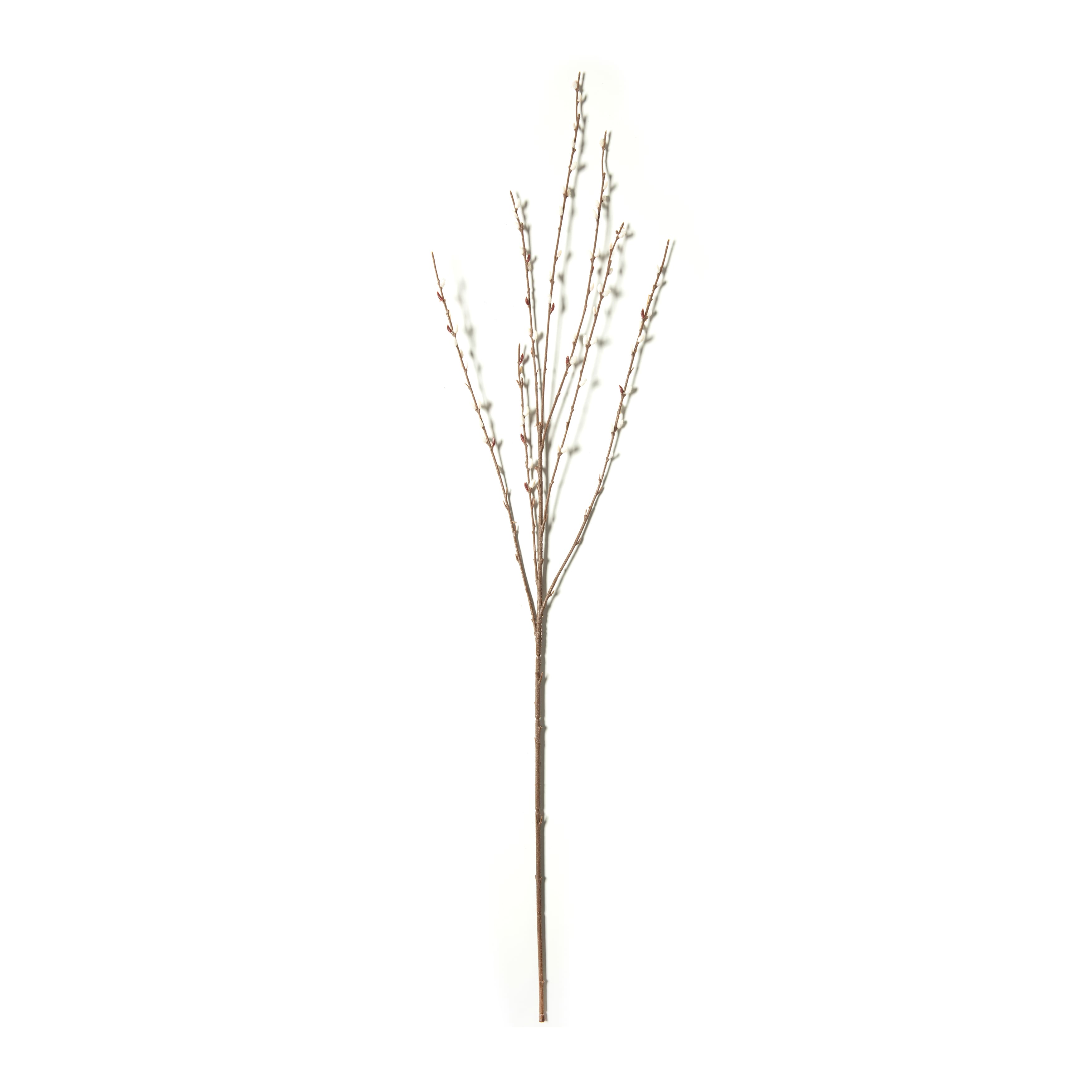 Buy Vickerman 36 Artificial Gray Pussy Willow Bush - 36-inch Faux Floral  Stems for Elegant Decor - Realistic Pussywillow Branches for Vases -  Maintenance-Free Online at desertcartINDIA