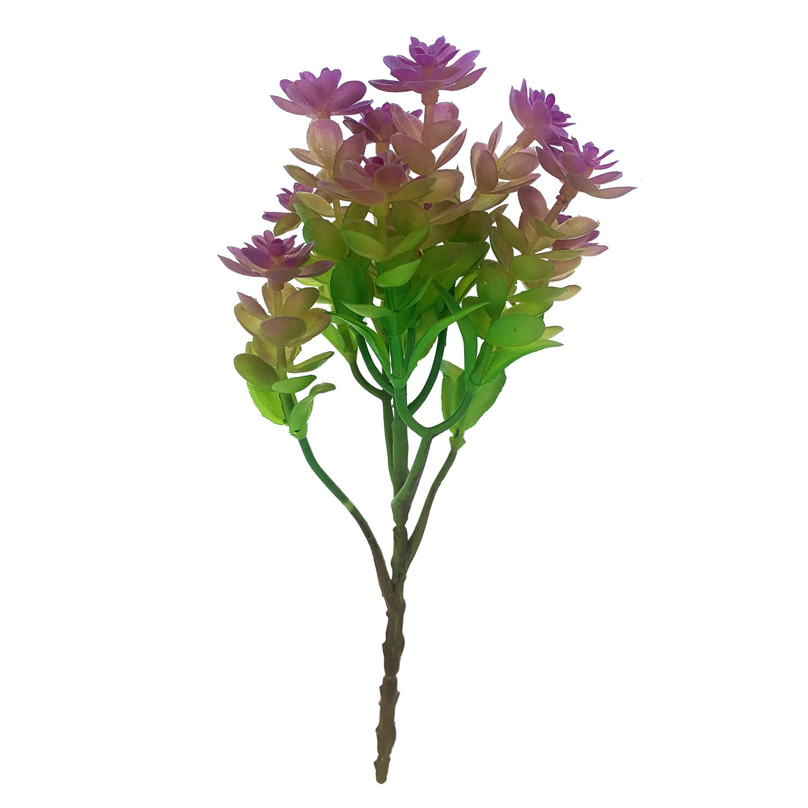 Purple Sedum Ogon Pick by Ashland&#xAE;