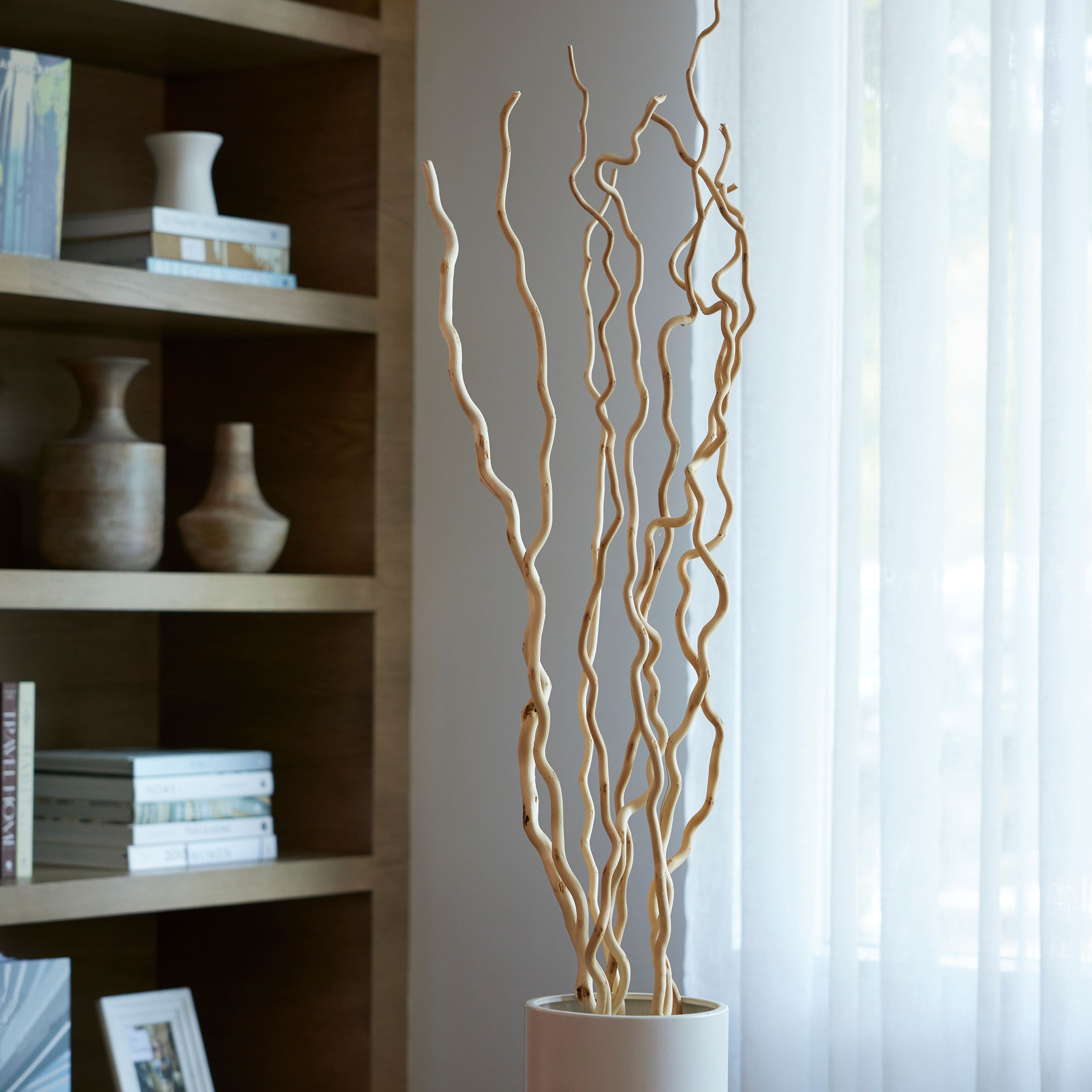 6 Pack: Cream Curly Willow Branch Bundle by Ashland&#xAE;