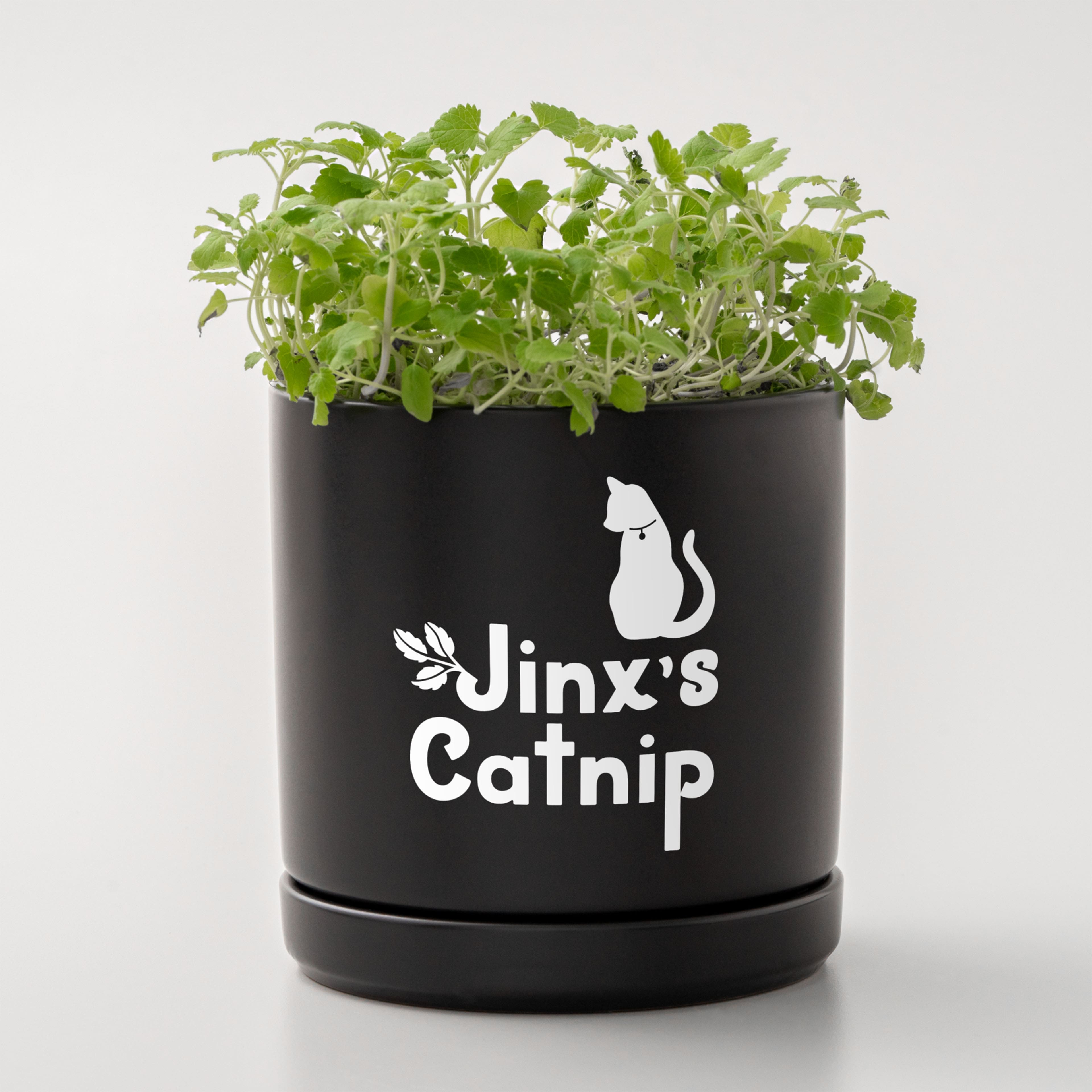 Cricuit Joy Xtra™ Removable Smart Vinyl™