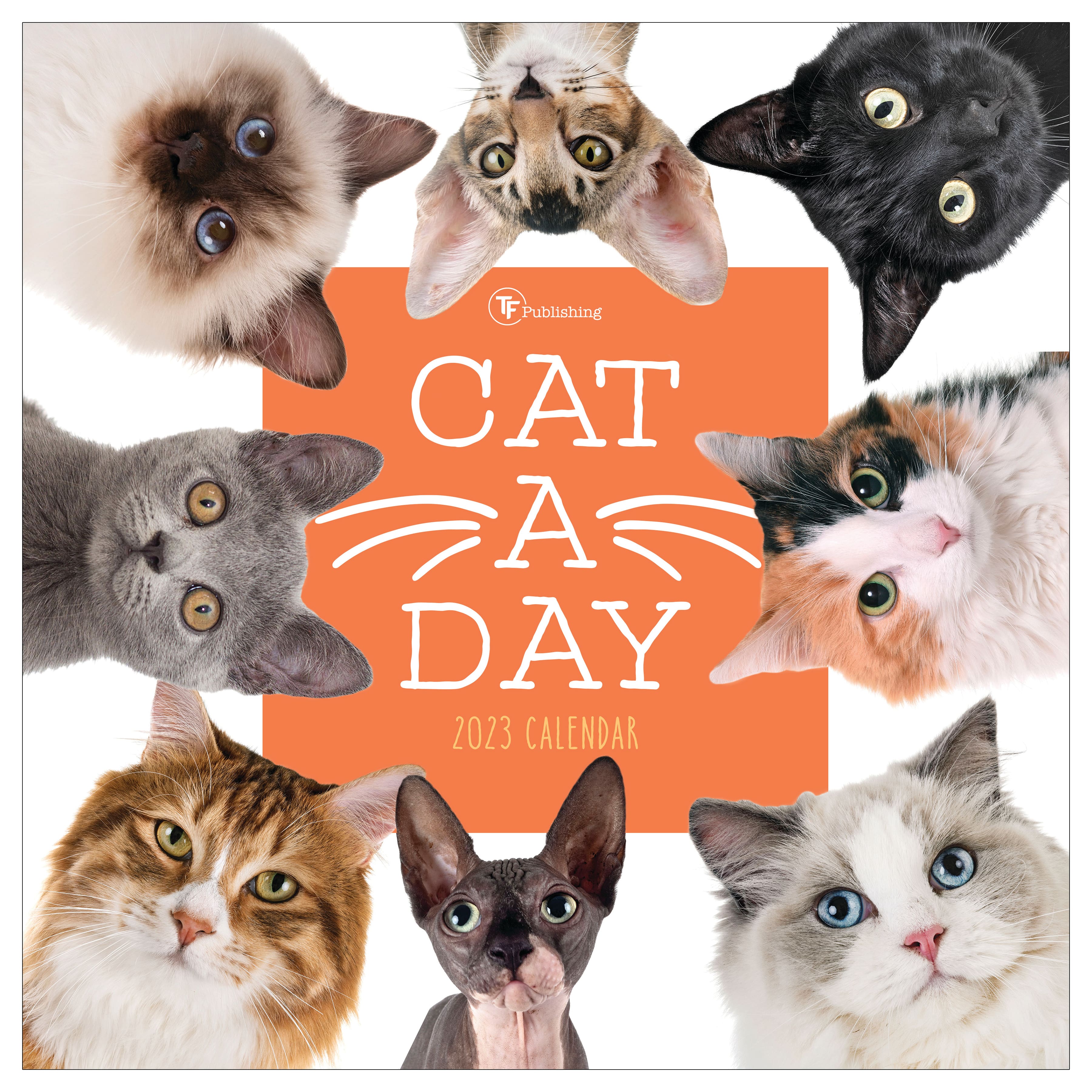 2023 Cat-A-Day Wall Calendar | Michaels