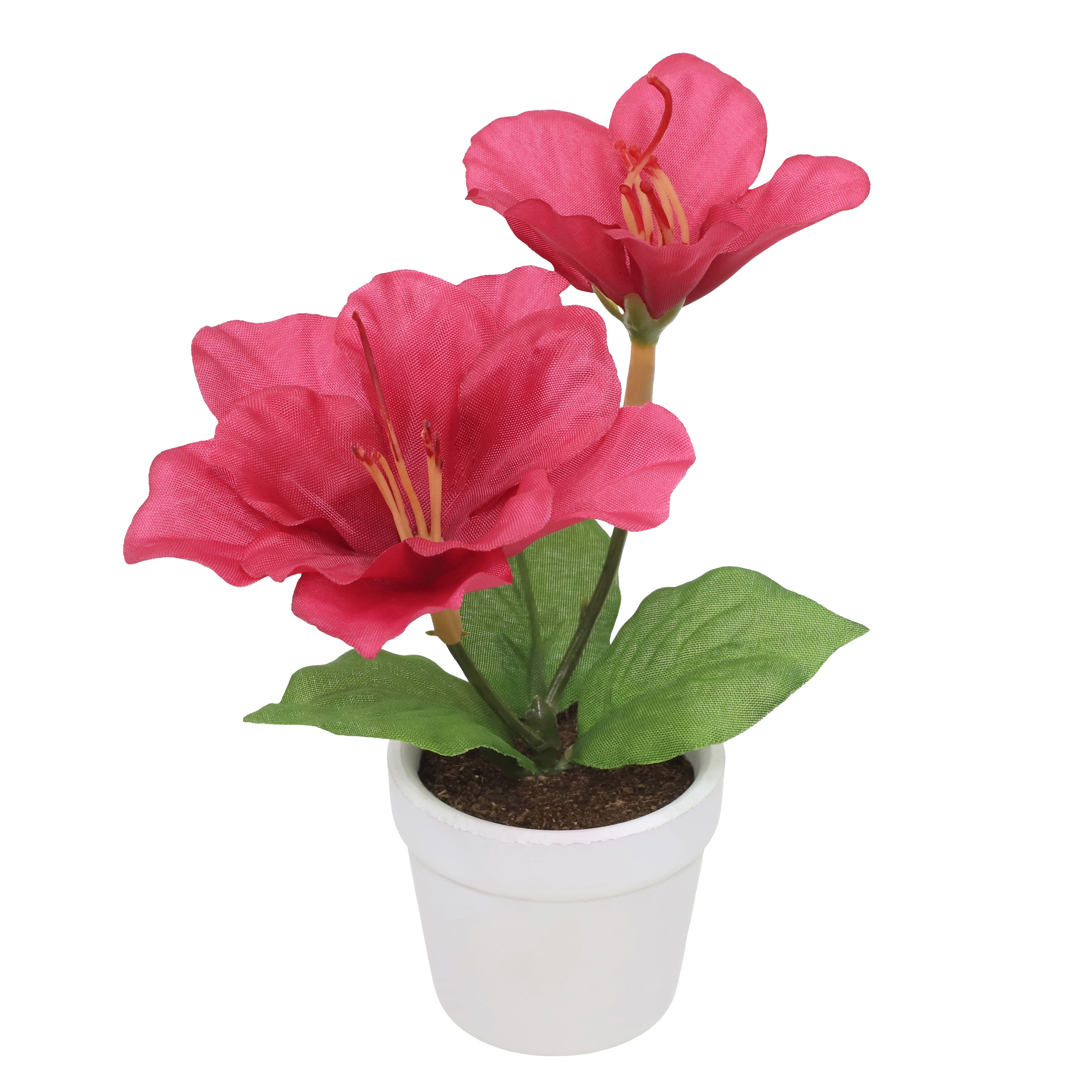 4.5&#x22; Fuchsia Azalea Arrangement in White Container by Ashland&#xAE;