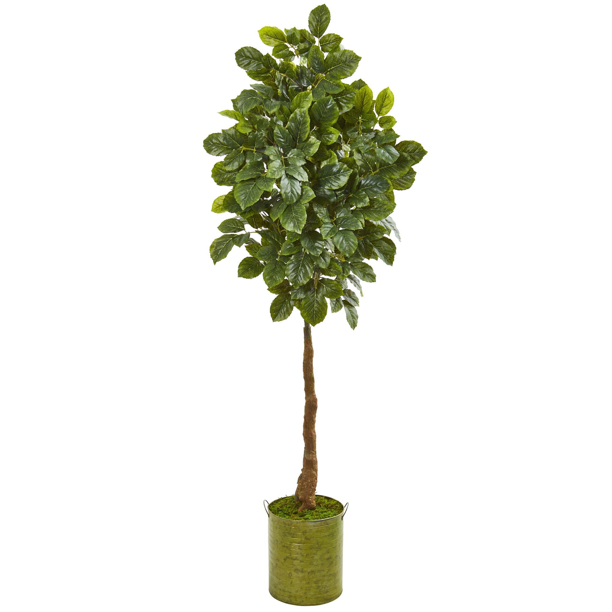 5.75ft. Beech Leaf Tree in Metal Planter