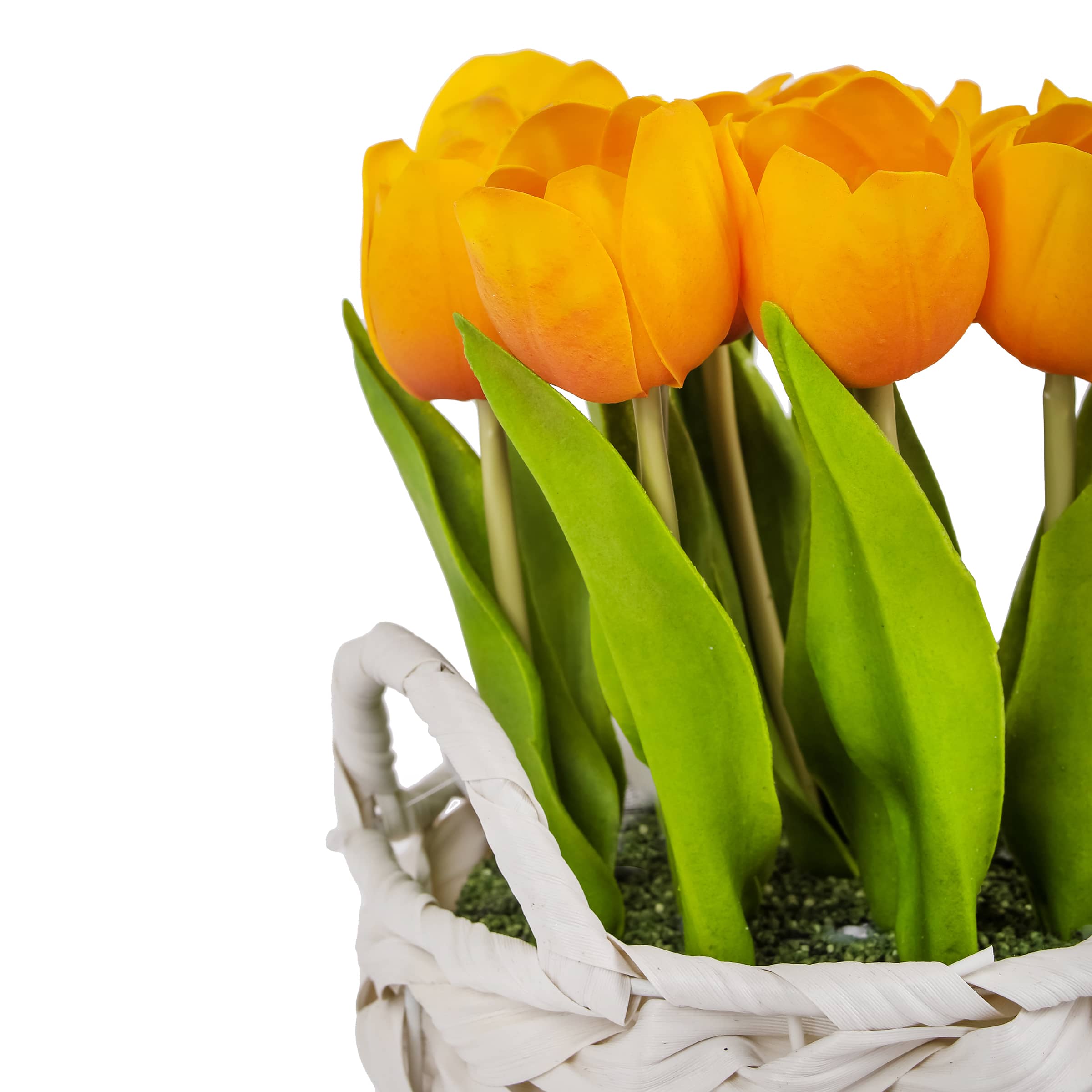 10" Tulip Bouquet in White Basket
