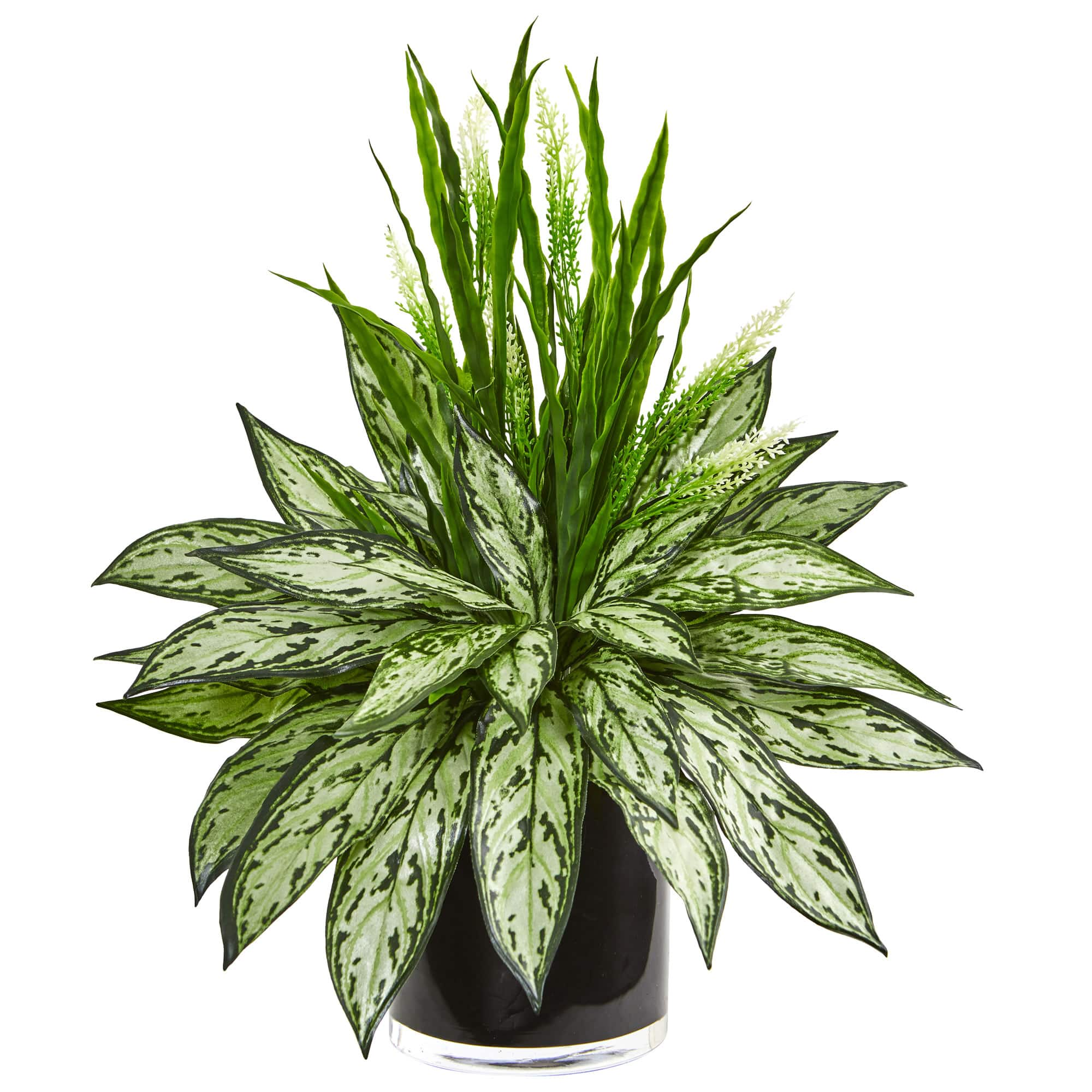 Silver Queen & Grass Plant in Black Vase