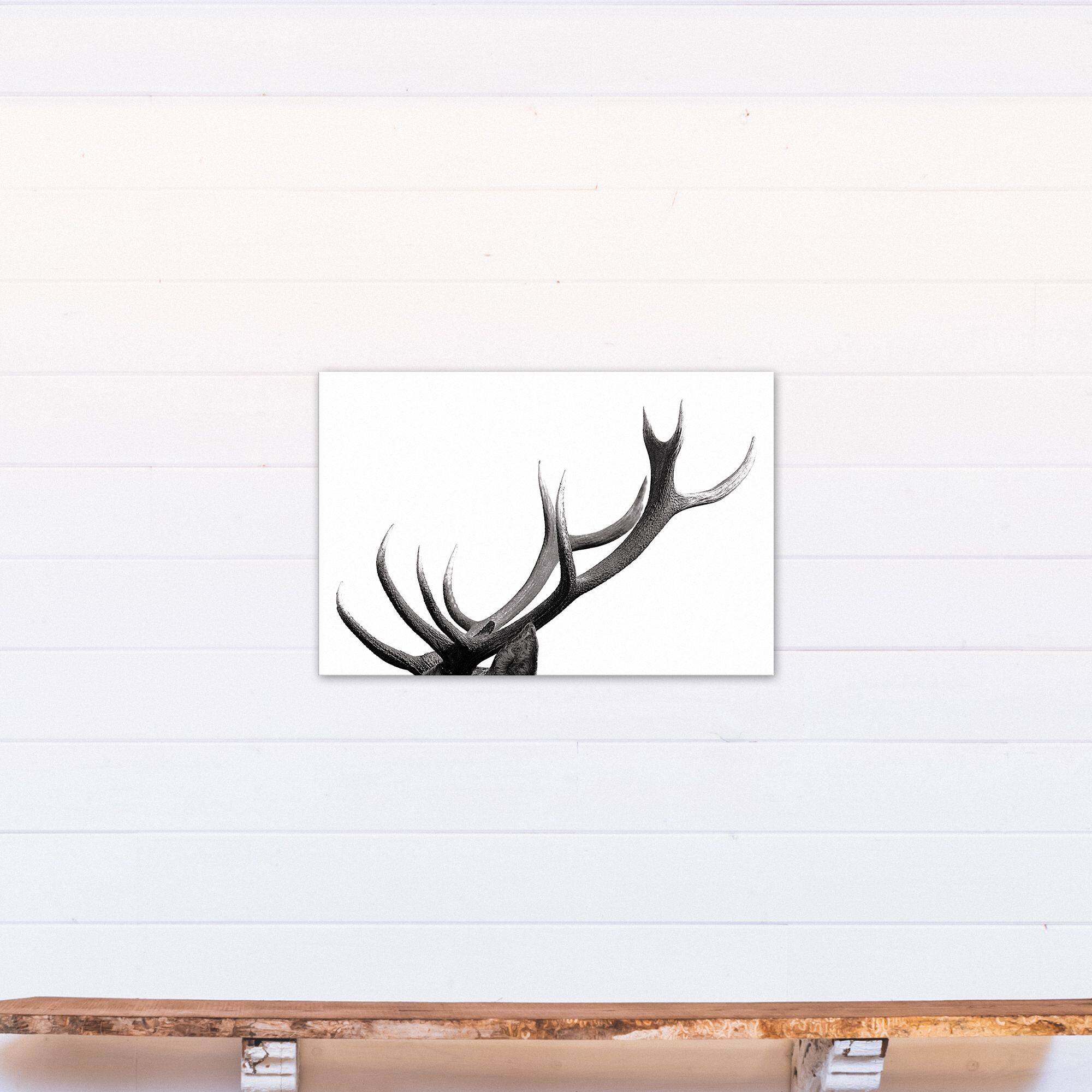 Modern Antlers 20&#x22; x 30&#x22; Canvas Wall Art