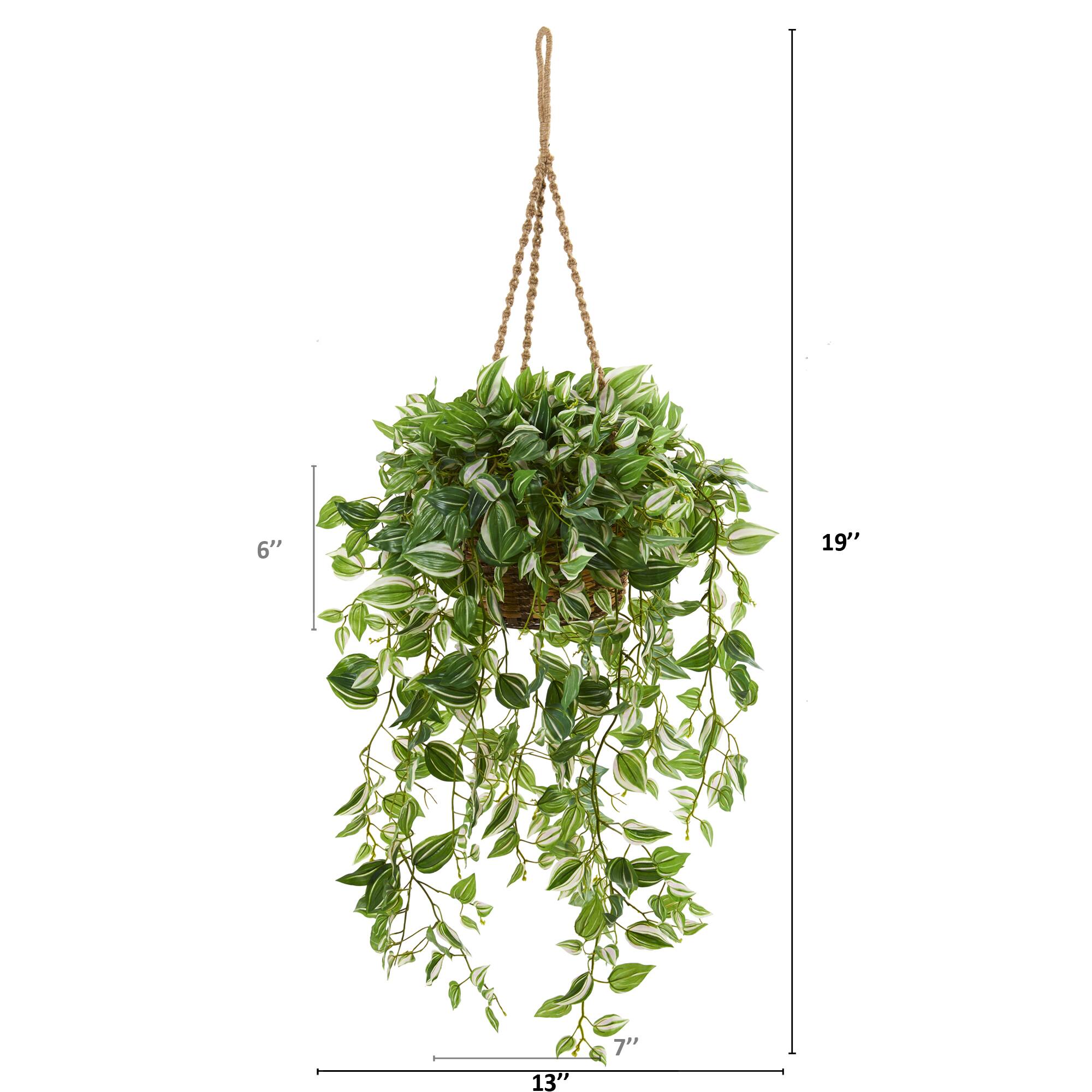 4.2ft. Wandering Jew Artificial Plant in Hanging Basket