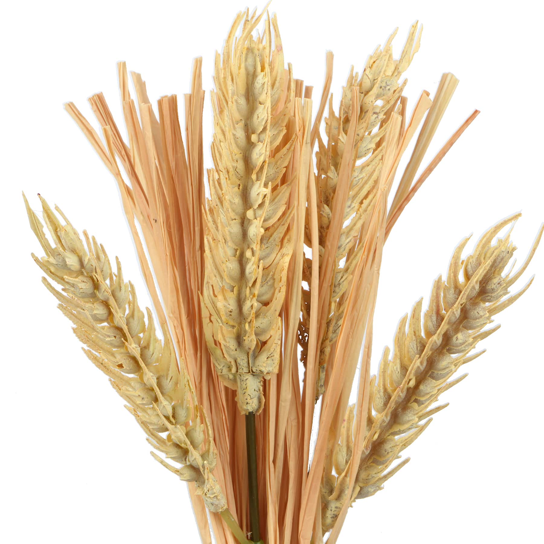 10" Mini Filler Bundle by Ashland