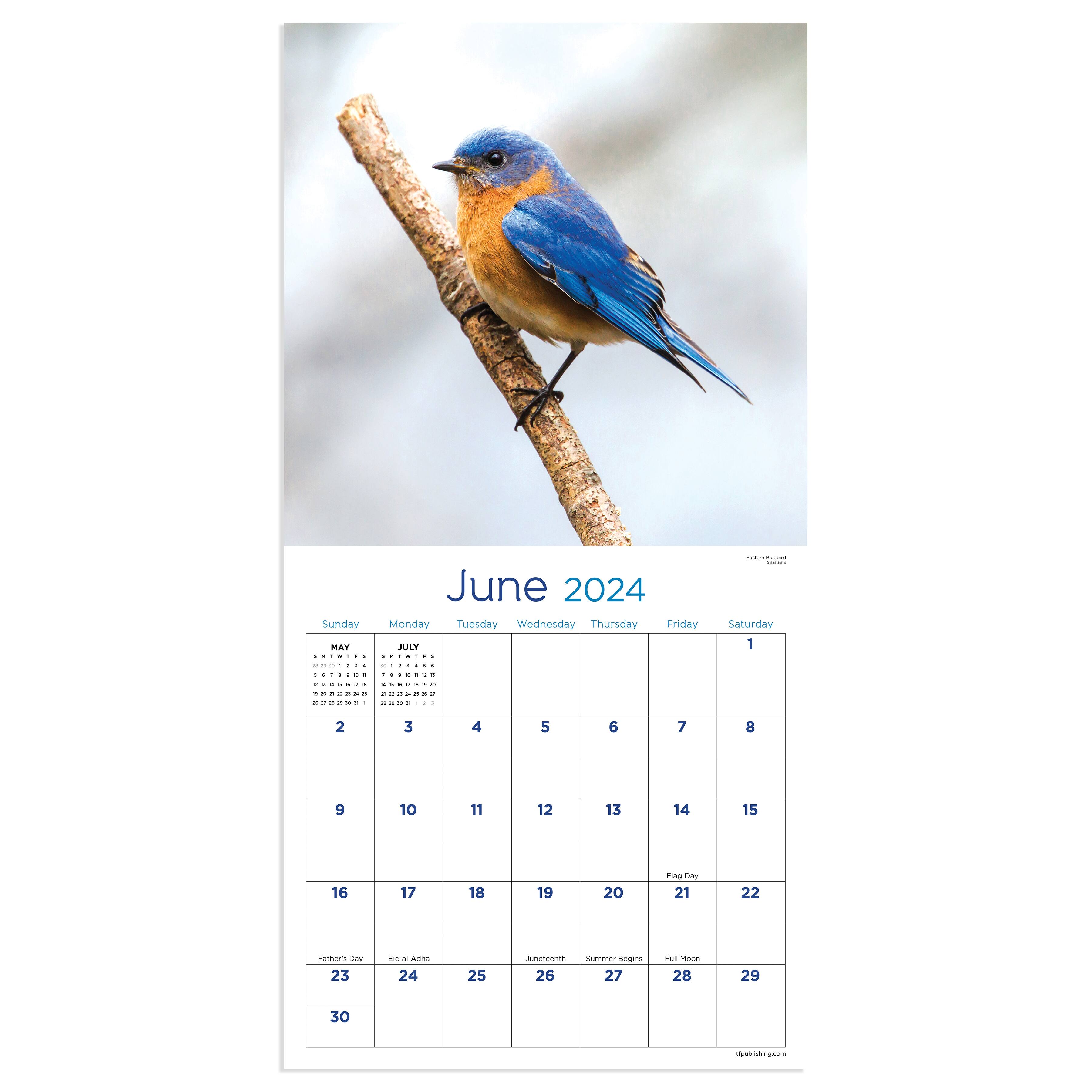 TF Publishing Backyard Birds Mini Calendar