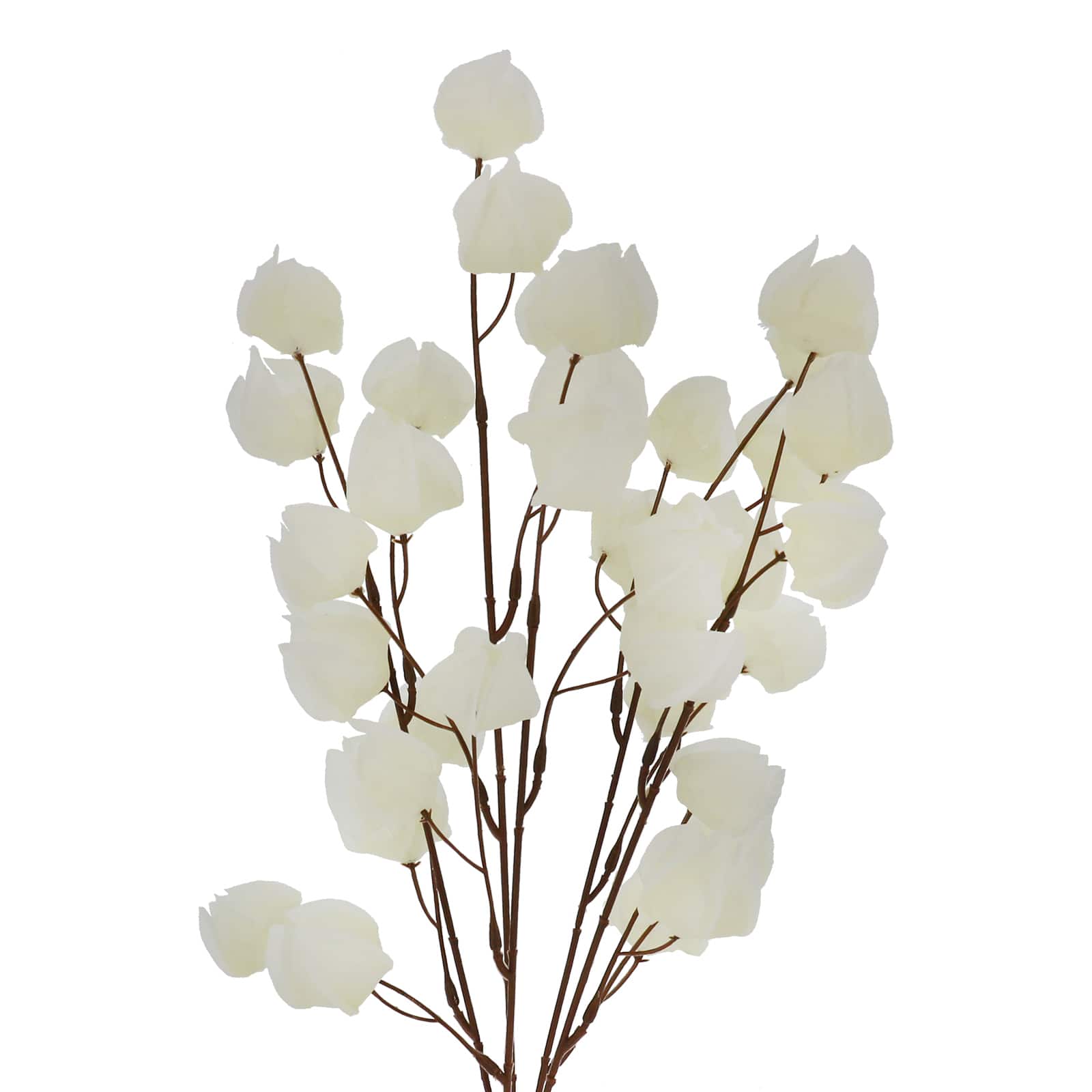 19&#x22; Basic Chinese Lantern Bush by Ashland&#xAE;