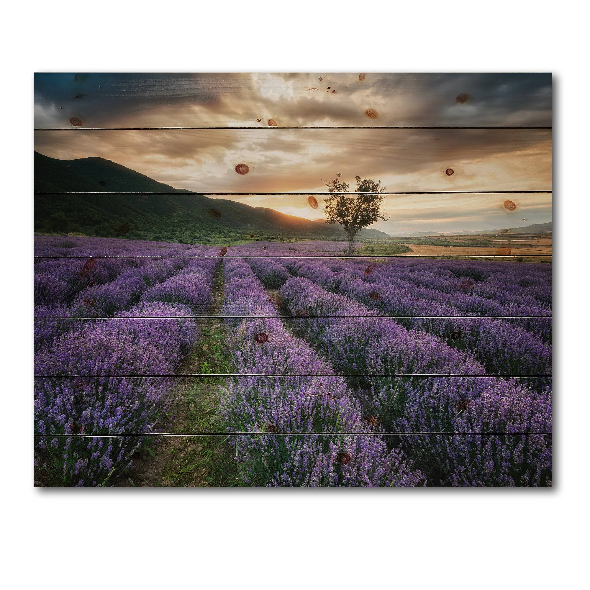 Designart - Sunrise &#x26; Dramatic Clouds Over Lavender Field VII - Farmhouse Print on Natural Pine Wood