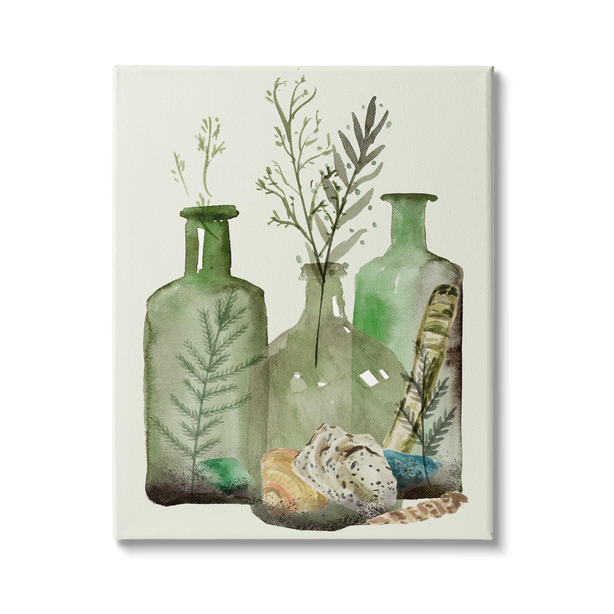 Stupell Industries Fern Plants Nautical Seashells Green Jug Still Life Canvas Wall Art