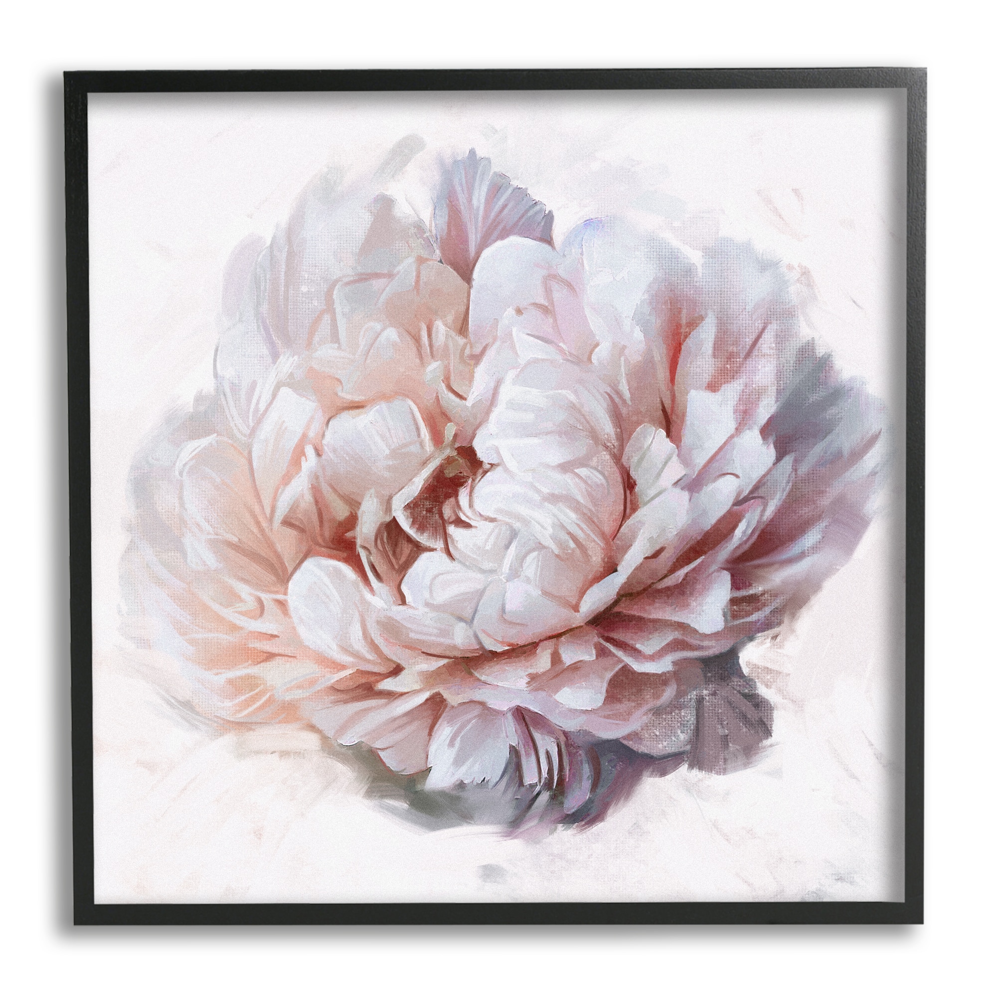Stupell Industries Detailed Peony Petals Framed Giclee Art