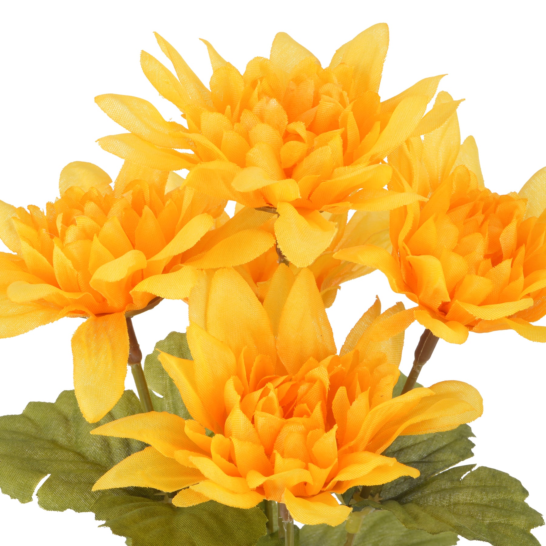 12&#x22; Dahlia Bush by Ashland&#xAE;