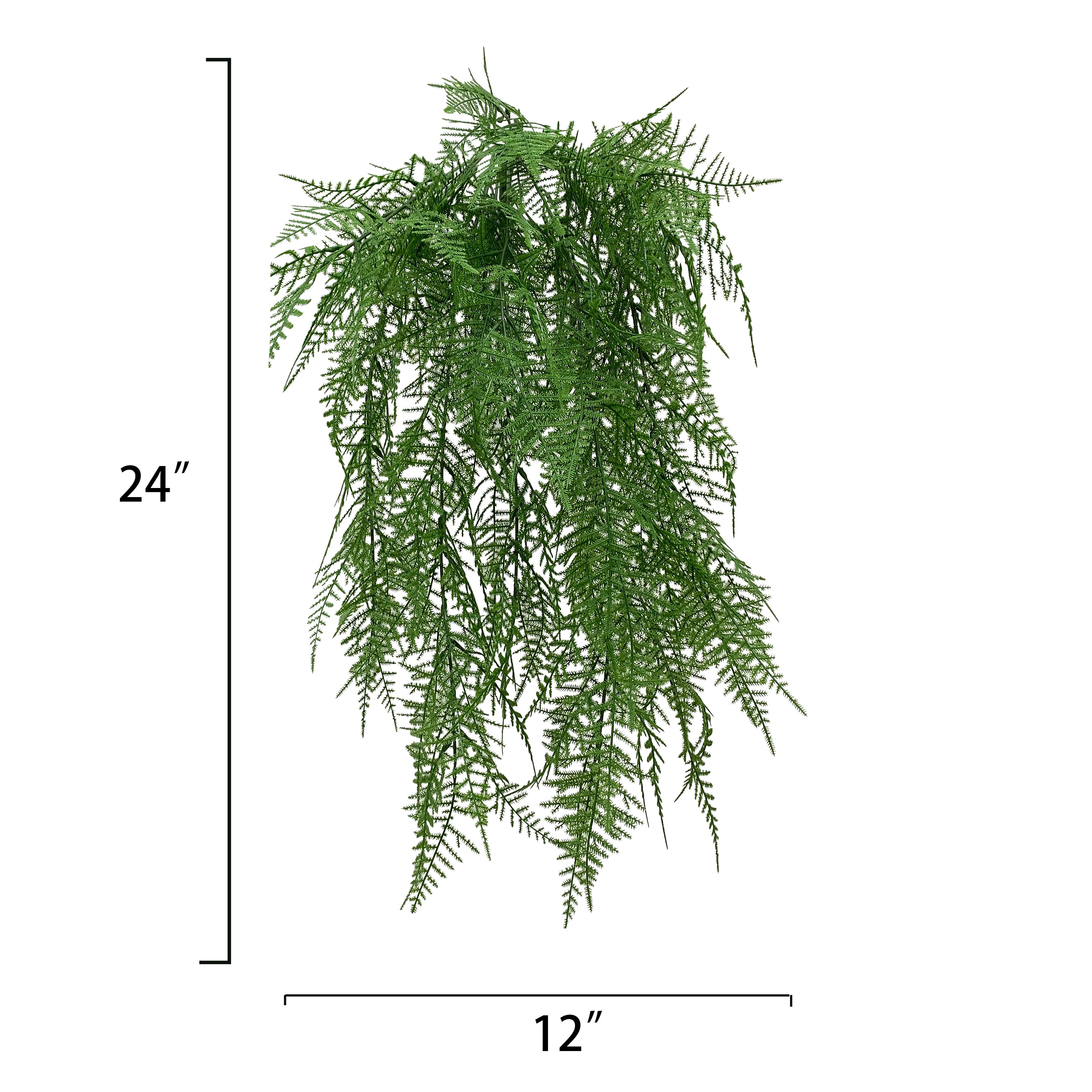 20&#x22; Asparagus Fern Bush by Ashland&#xAE;
