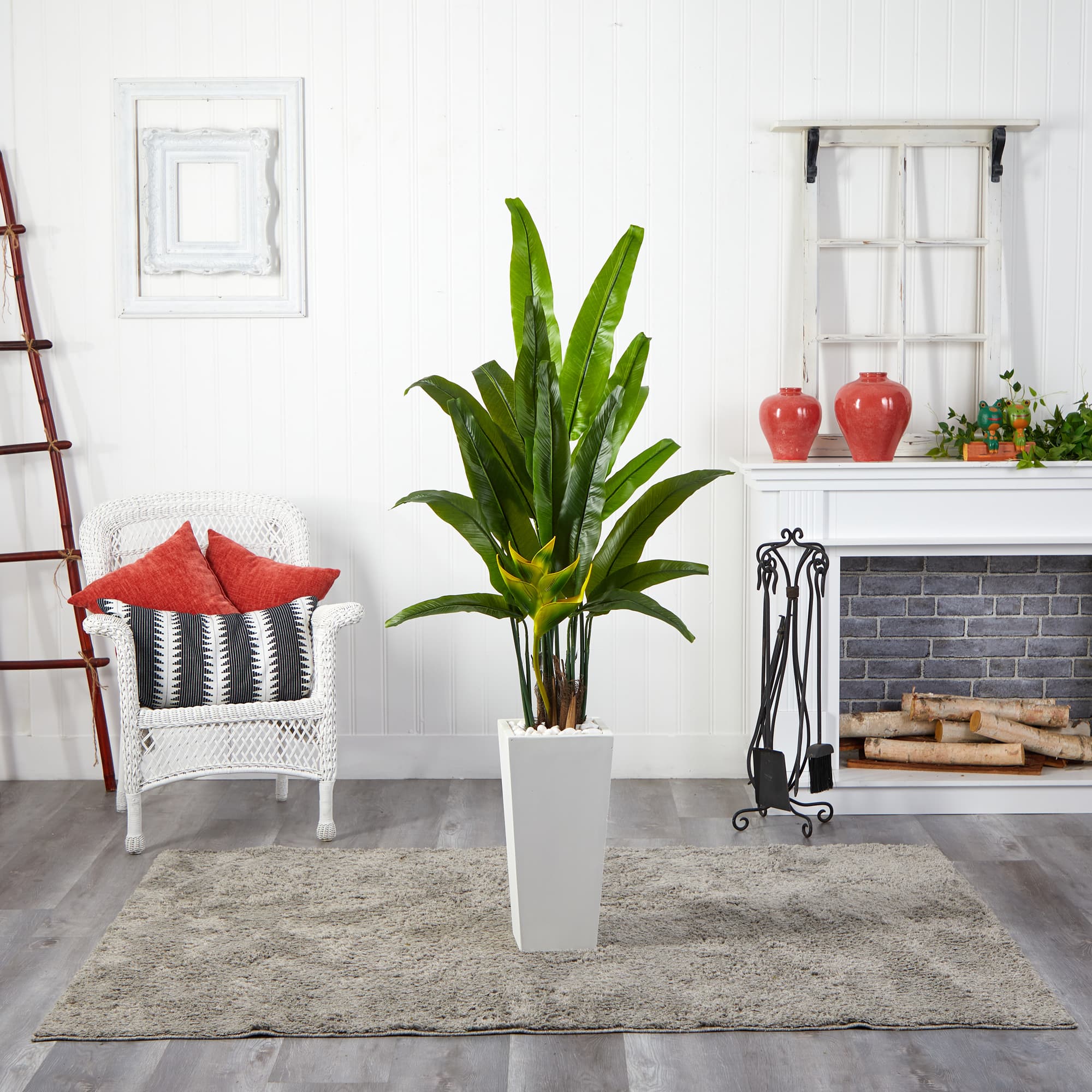 6ft. Potted Travelers Palm Tree in Decorative Planter