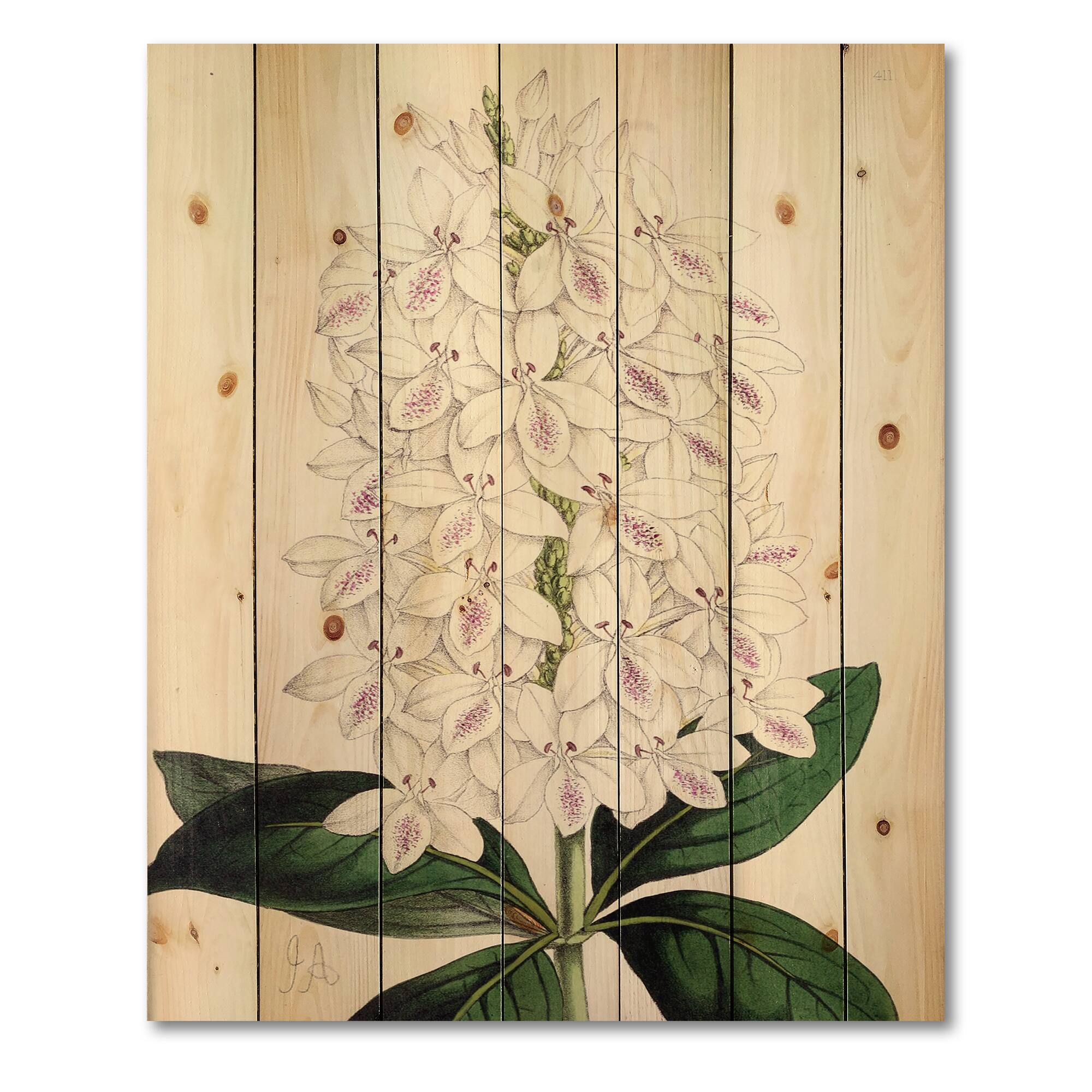 Designart - Vintage White Orchid III - Traditional Print on Natural Pine Wood