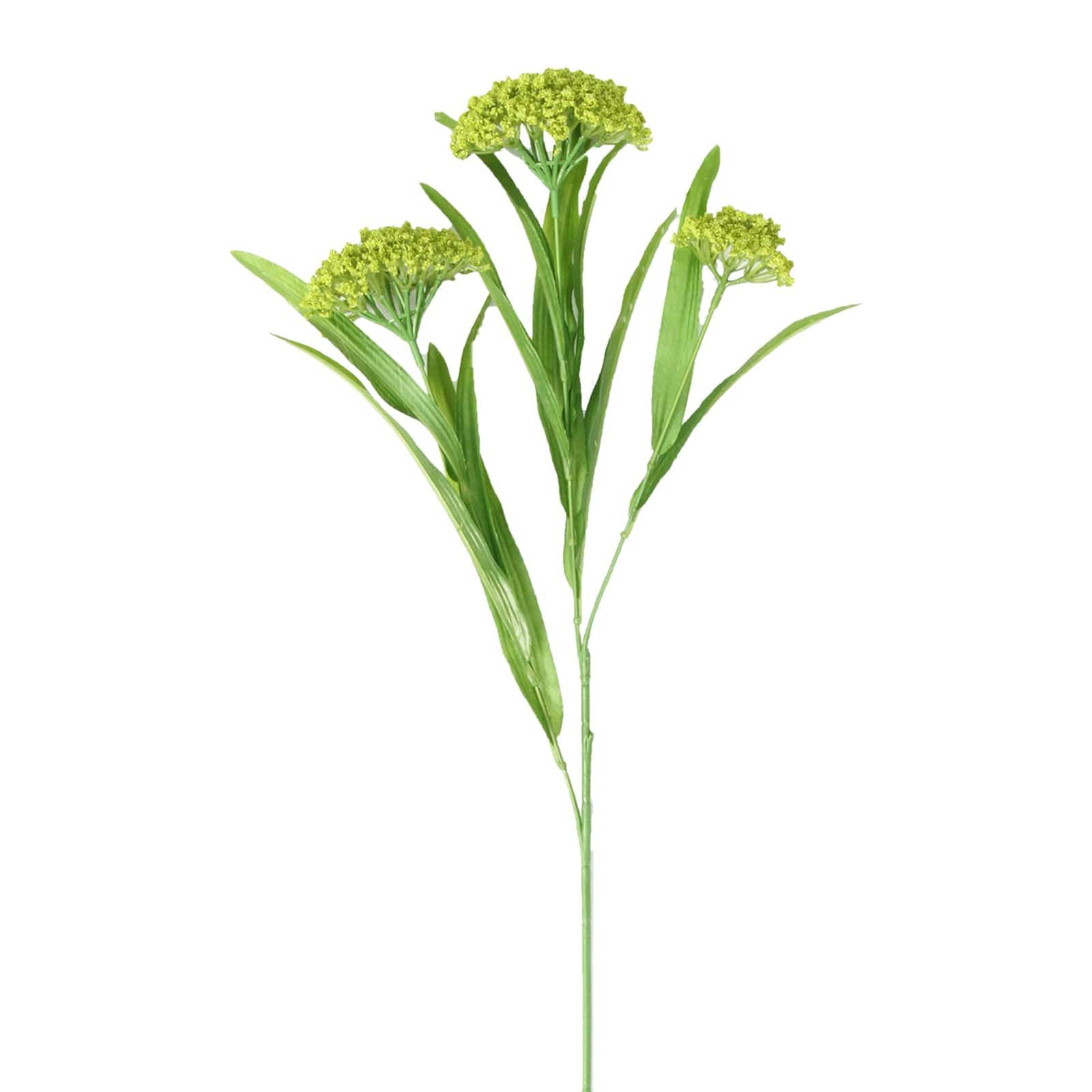 12 Pack: Green Queen Anne&#x27;s Lace Spray by Ashland&#xAE;