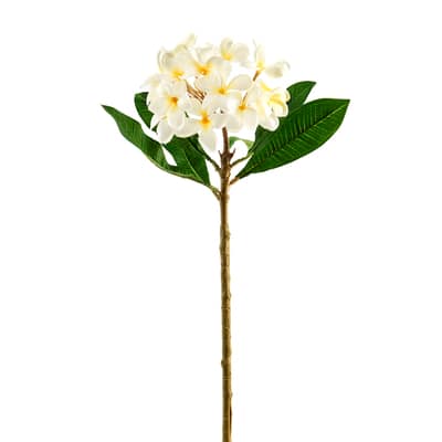 White Frangipani Stem by Ashland® | Michaels