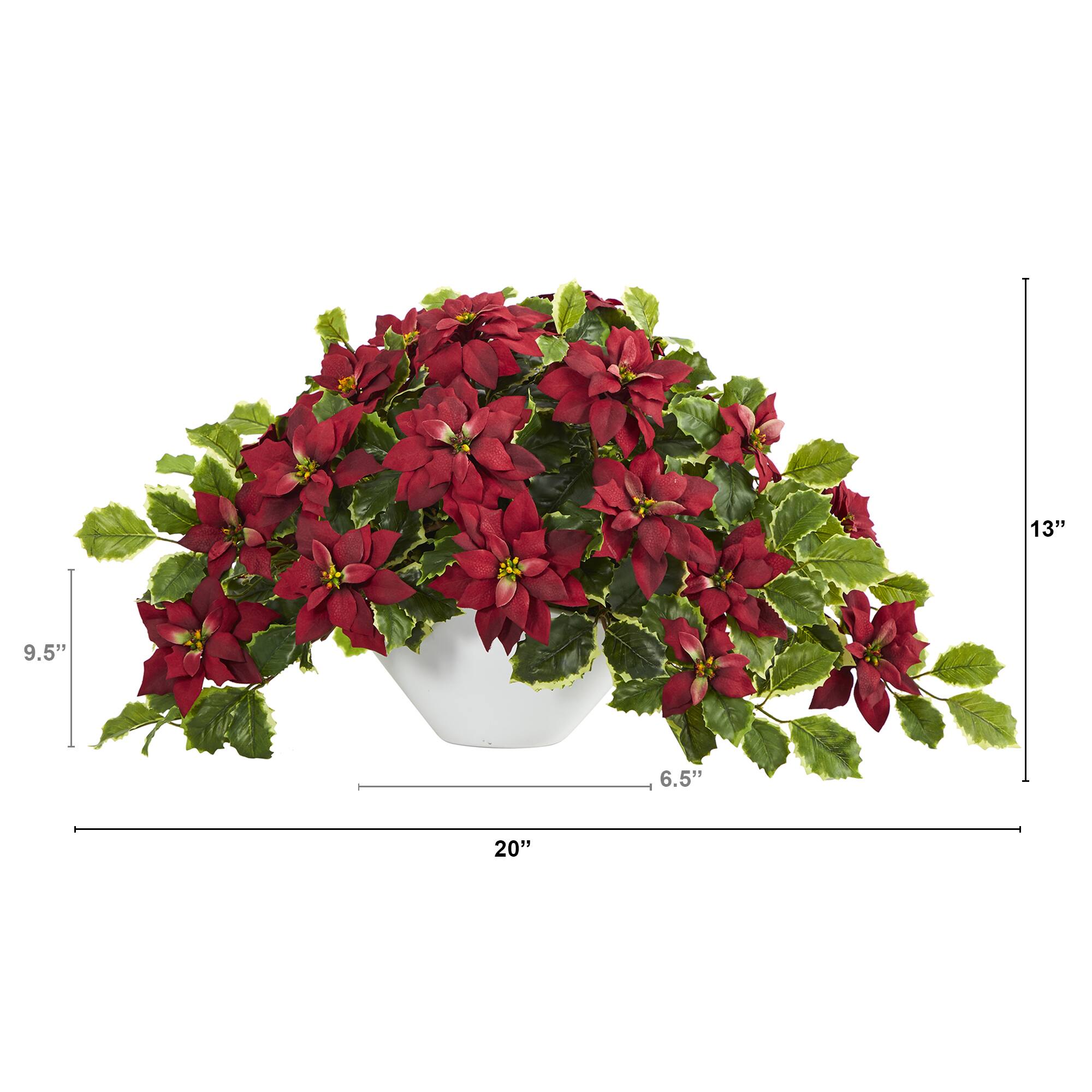 20" Poinsettia & Variegated Holly Plant in Oval White Planter