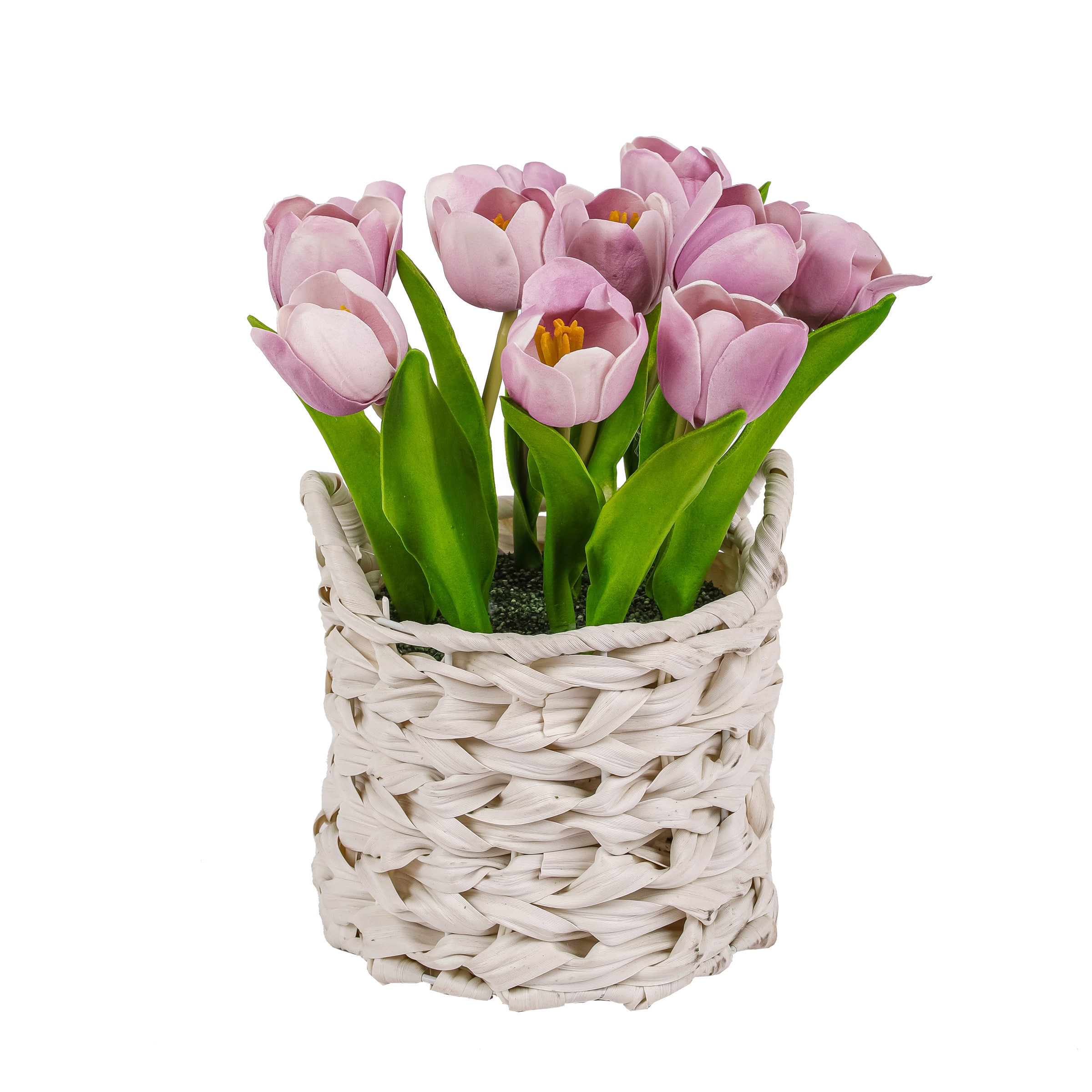 10" Tulip Bouquet in White Basket