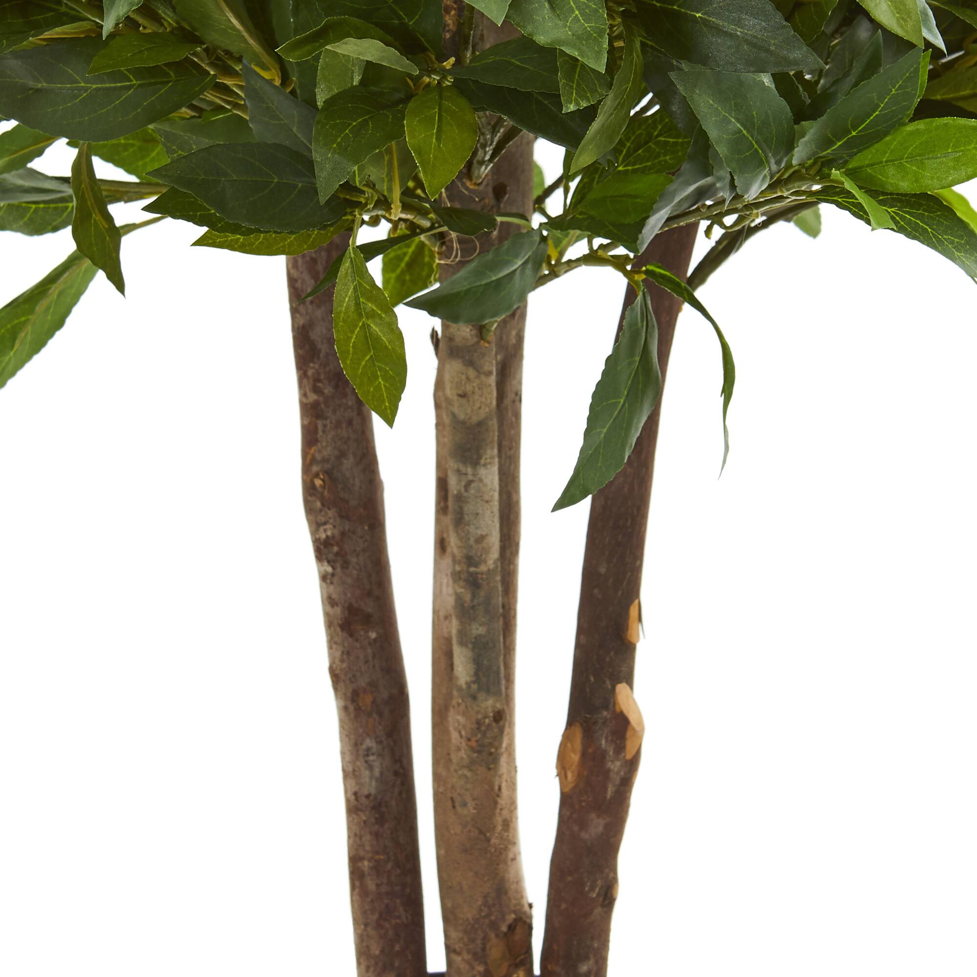 3ft. Potted Bay Leaf Topiary Tree