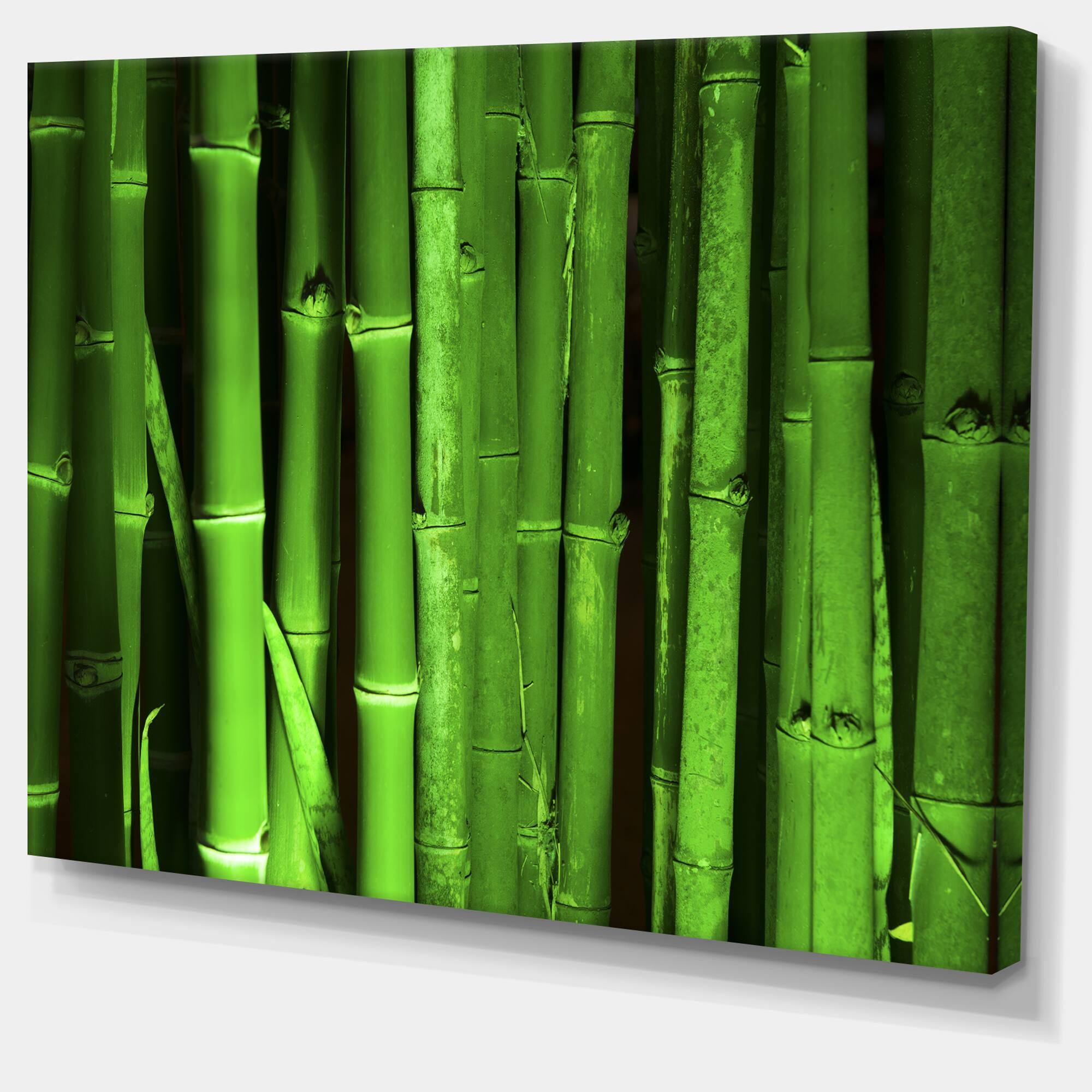 Designart - Green Bamboo Forest - Floral Canvas Art Print