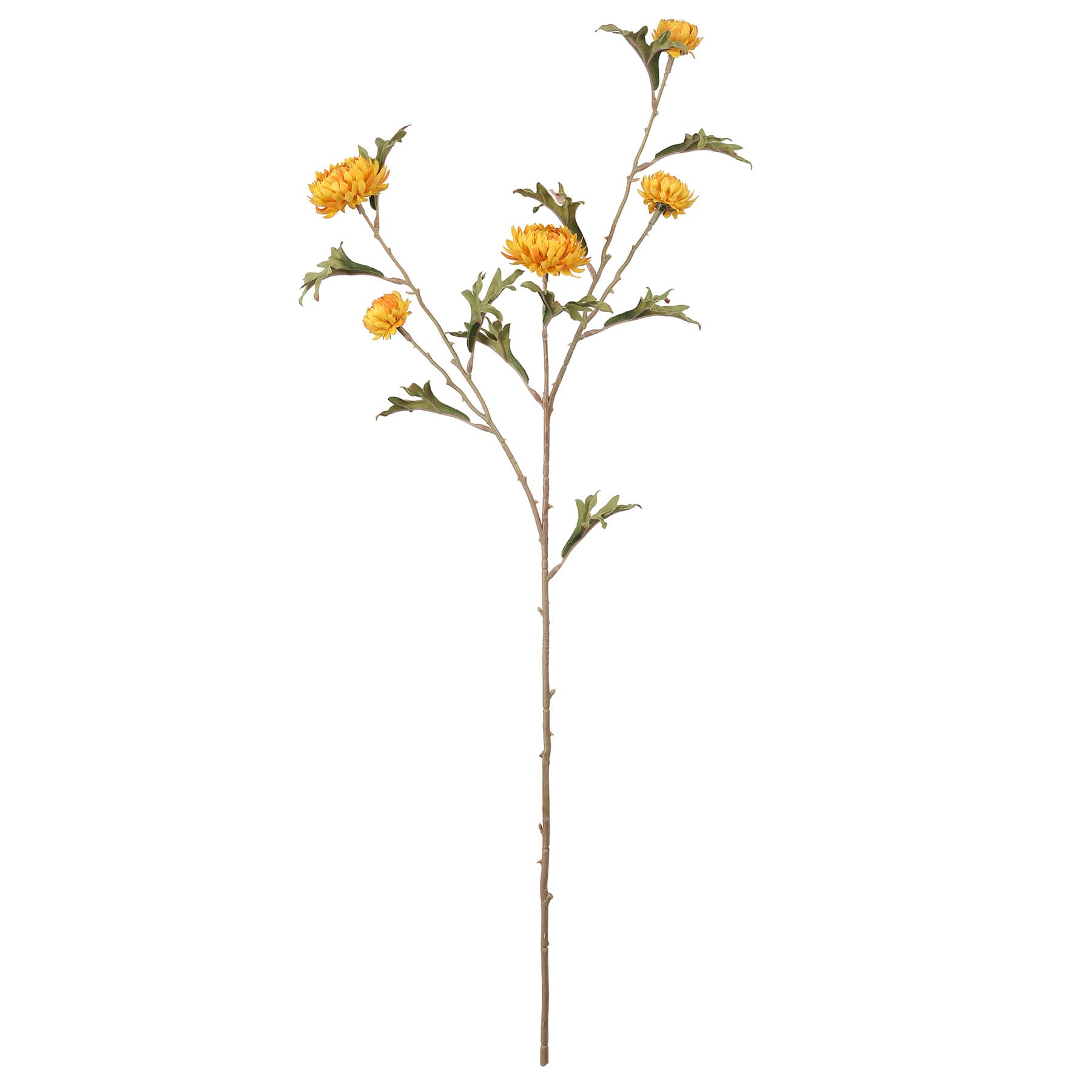 32&#x22; Wild Mum Stem with 5 Flowers by Ashland&#xAE;