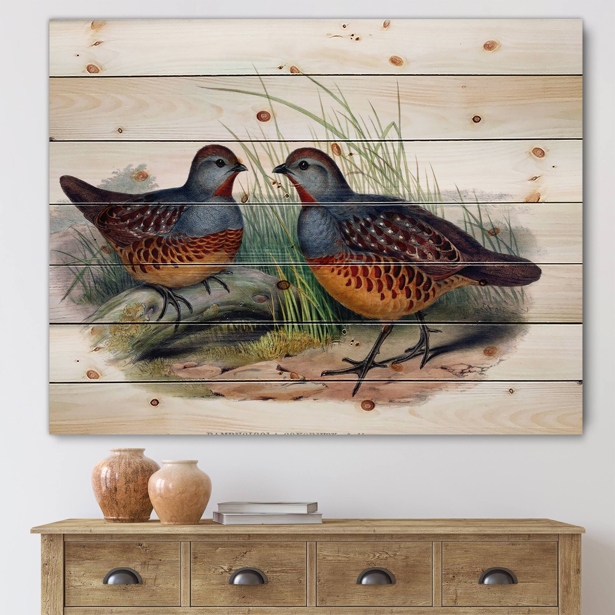 Designart - Vintage Birds In The Wild VII - Traditional Print on Natural Pine Wood