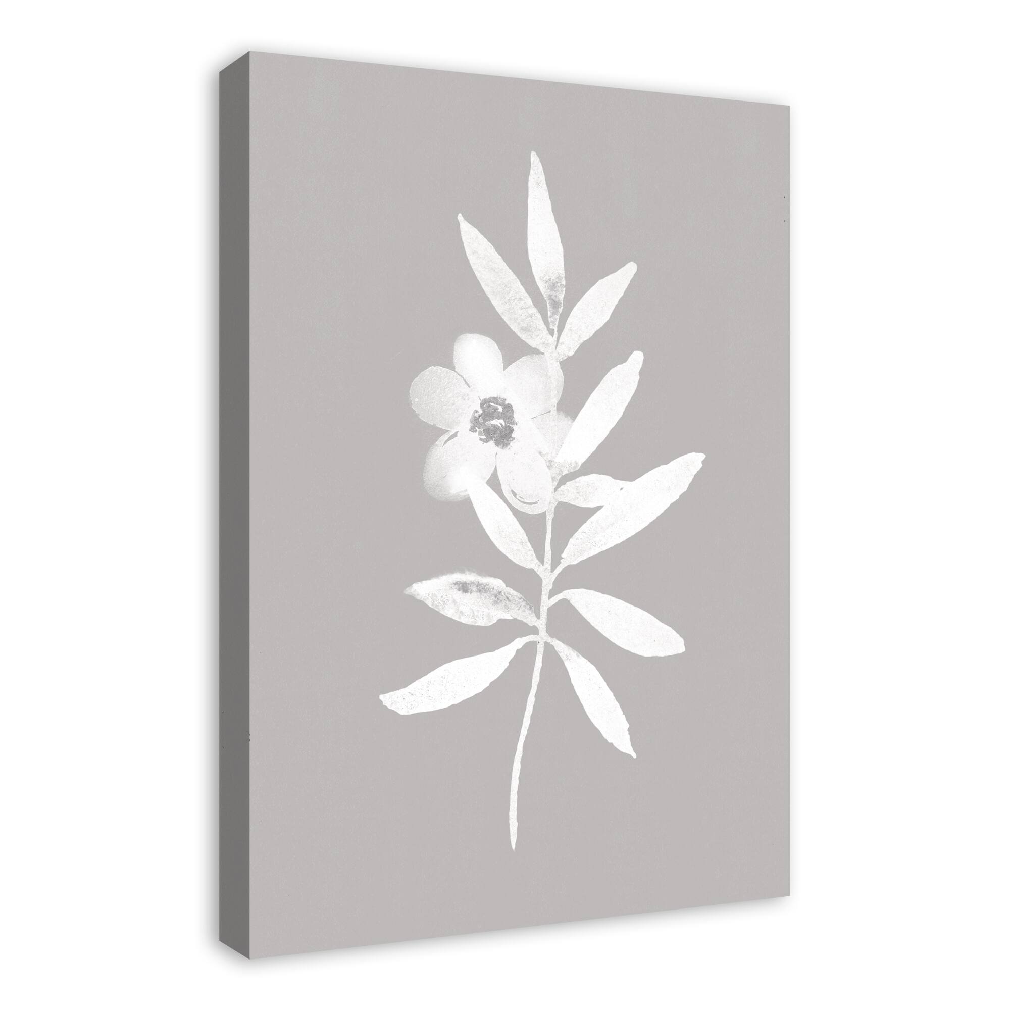 Soft White Flower 20" x 30" Canvas Wall Art