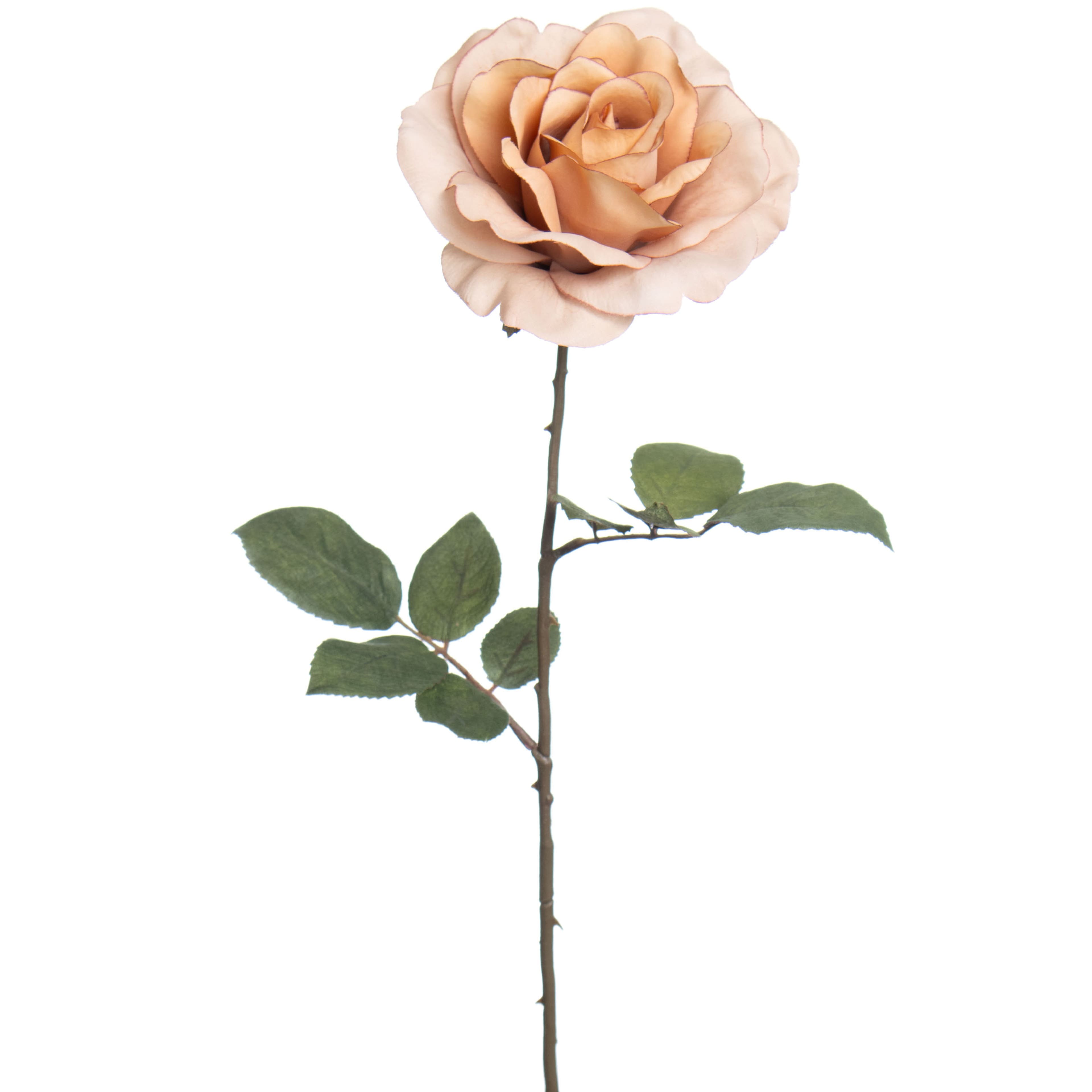 26&#x22; Rose Stem by Ashland&#xAE;