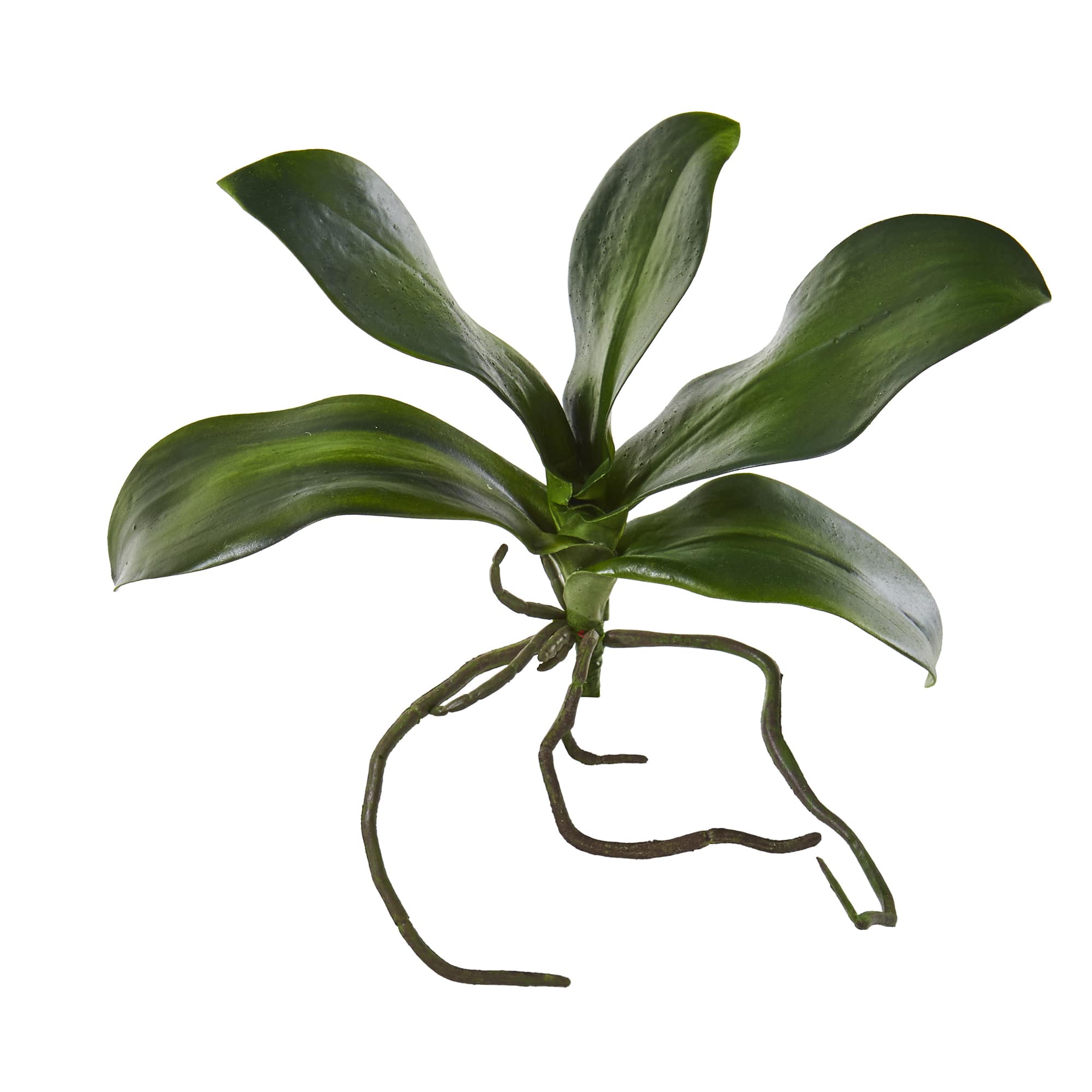 7&#x22; Phalaenopsis Orchid Leaf Artificial Flower (Set of 6)