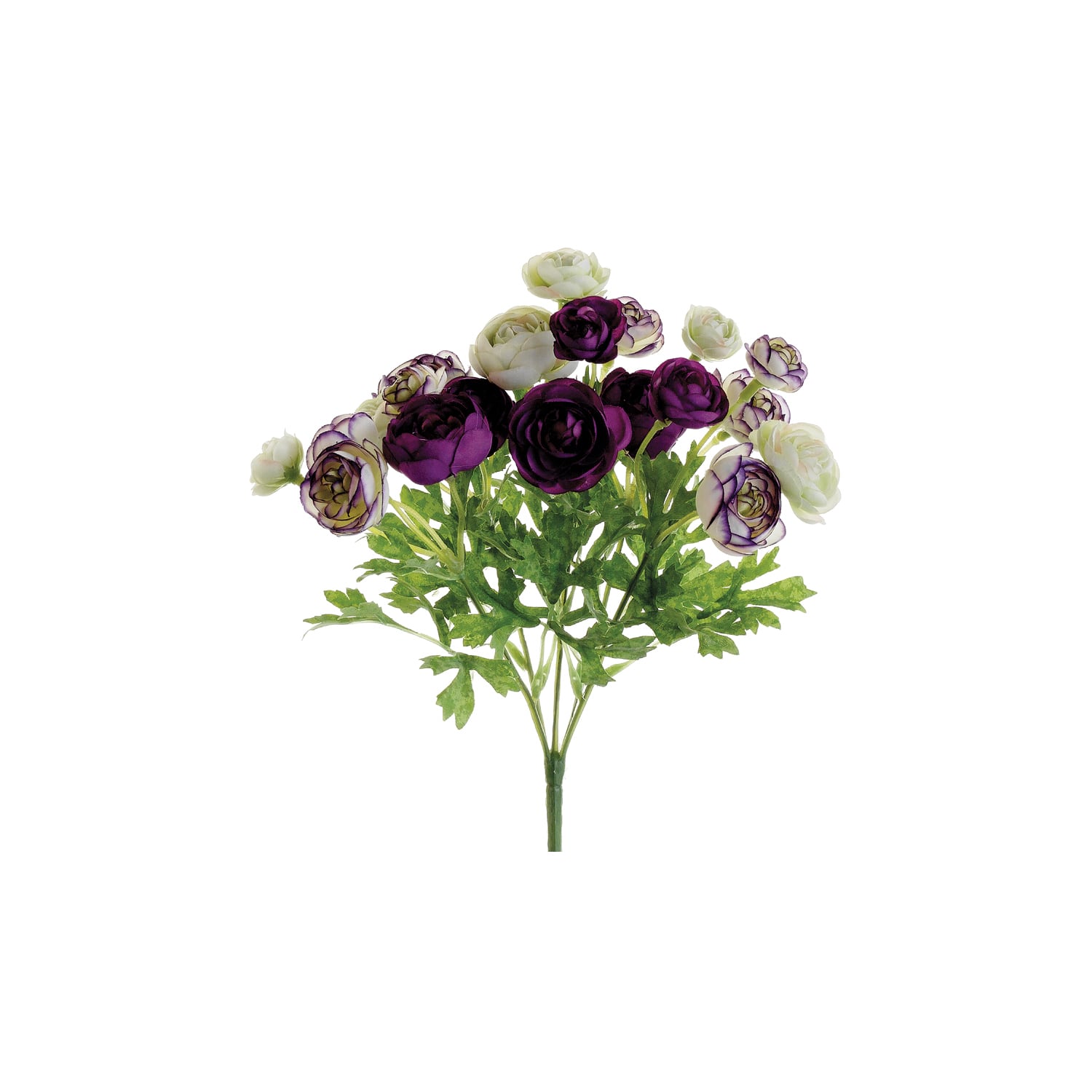 Ivory &#x26; Violet Mini Ranunculus Bush 