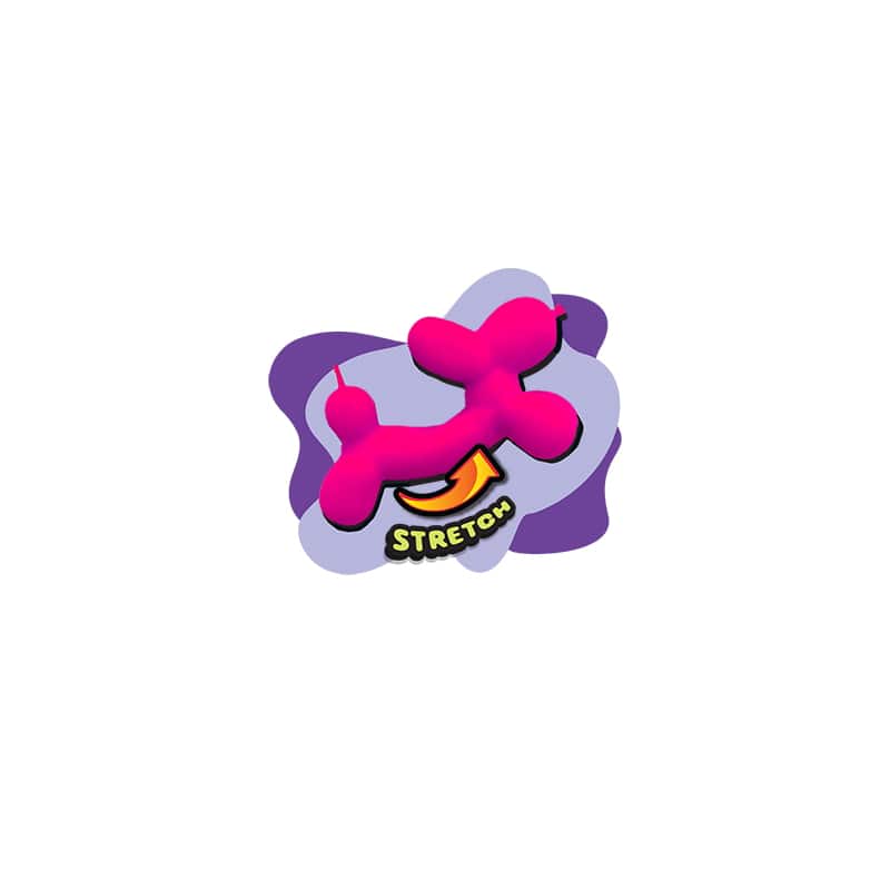 Assorted Ja-Ru&#xAE; Irre-Squishtible!&#x2122; Stretchy B&#x27;Loon Dog