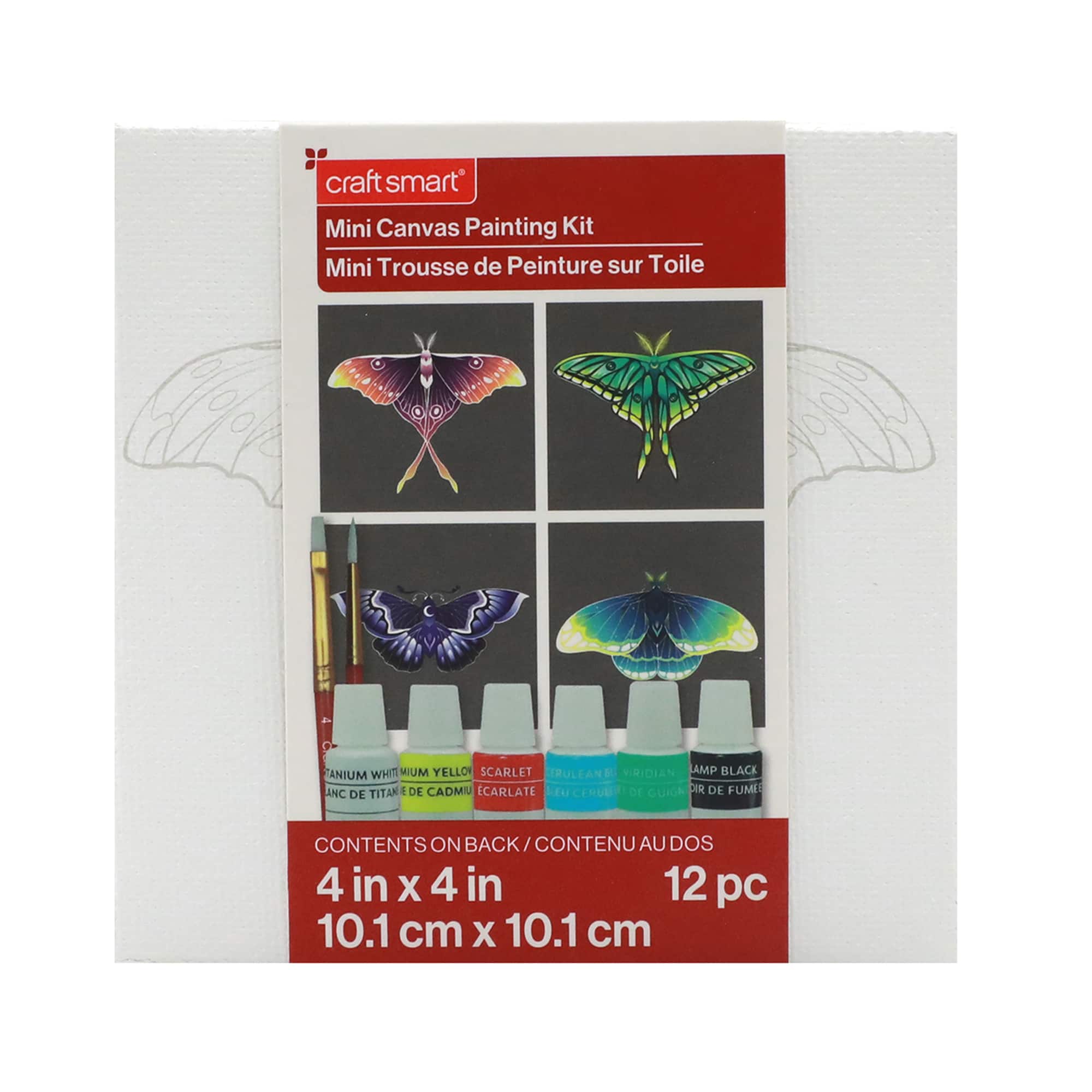 4&#x22; x 4&#x22; Moths Canvas Painting Kit by Craft Smart&#xAE;