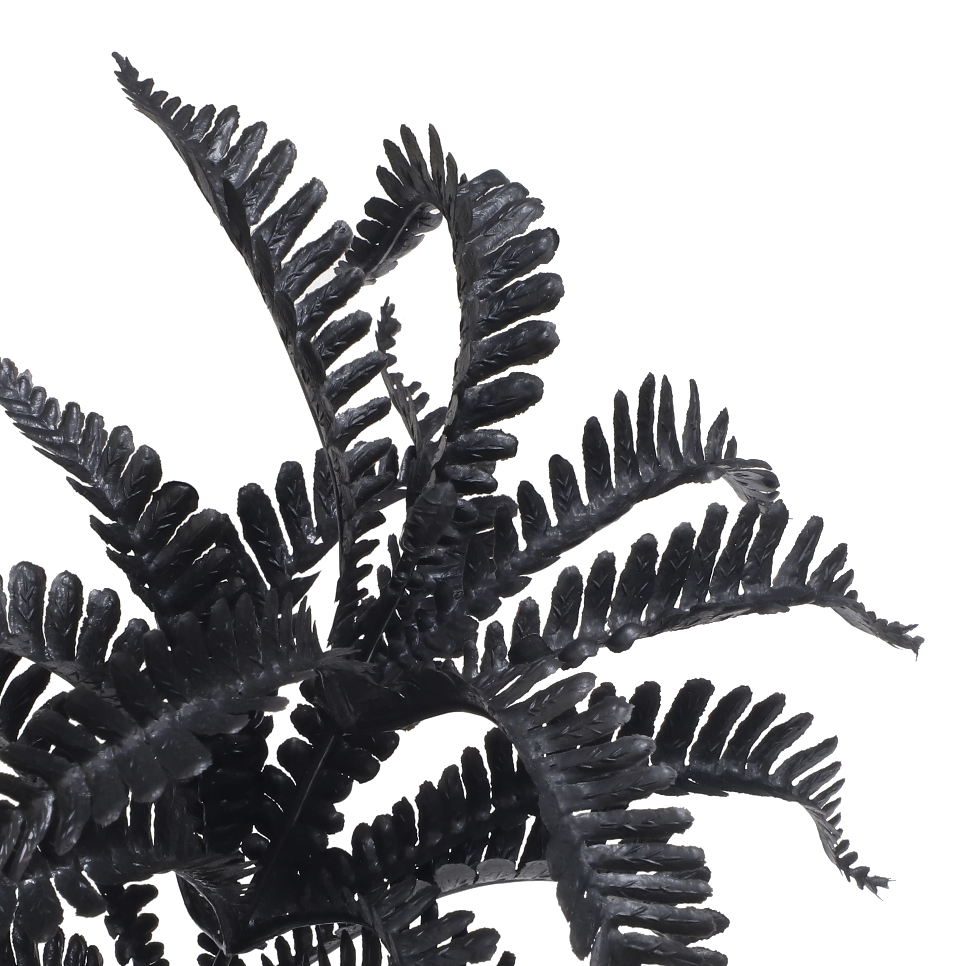 9.5&#x22; Black Fern Pick by Ashland&#xAE;