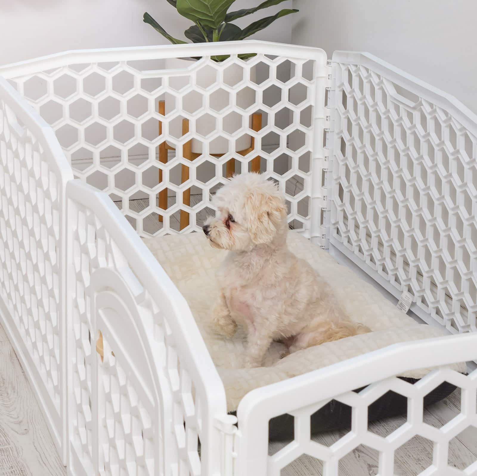 Iris&#xAE; 6-White Panel Pet Playpen