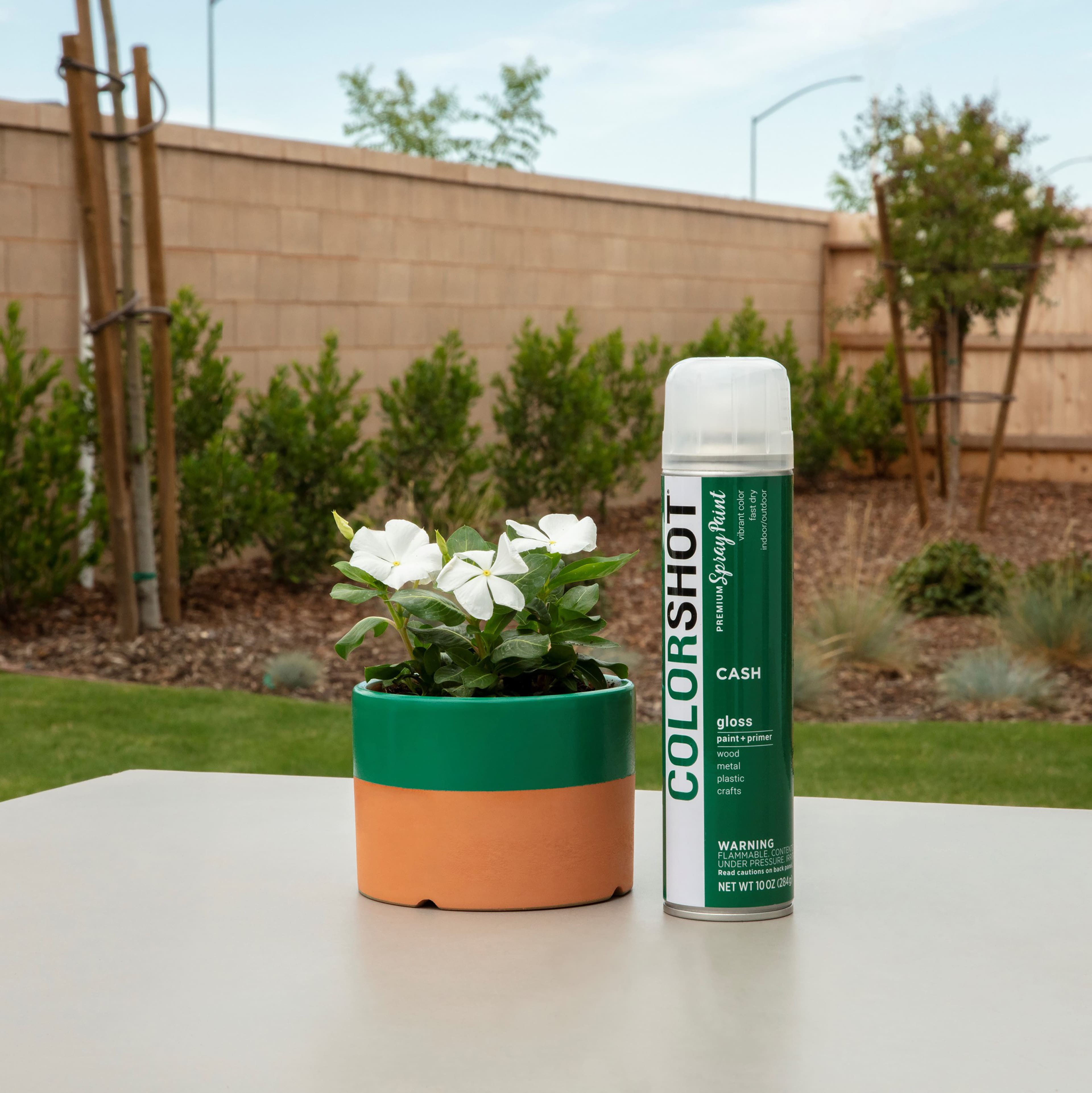 COLORSHOT&#xAE; Premium Gloss Spray Paint