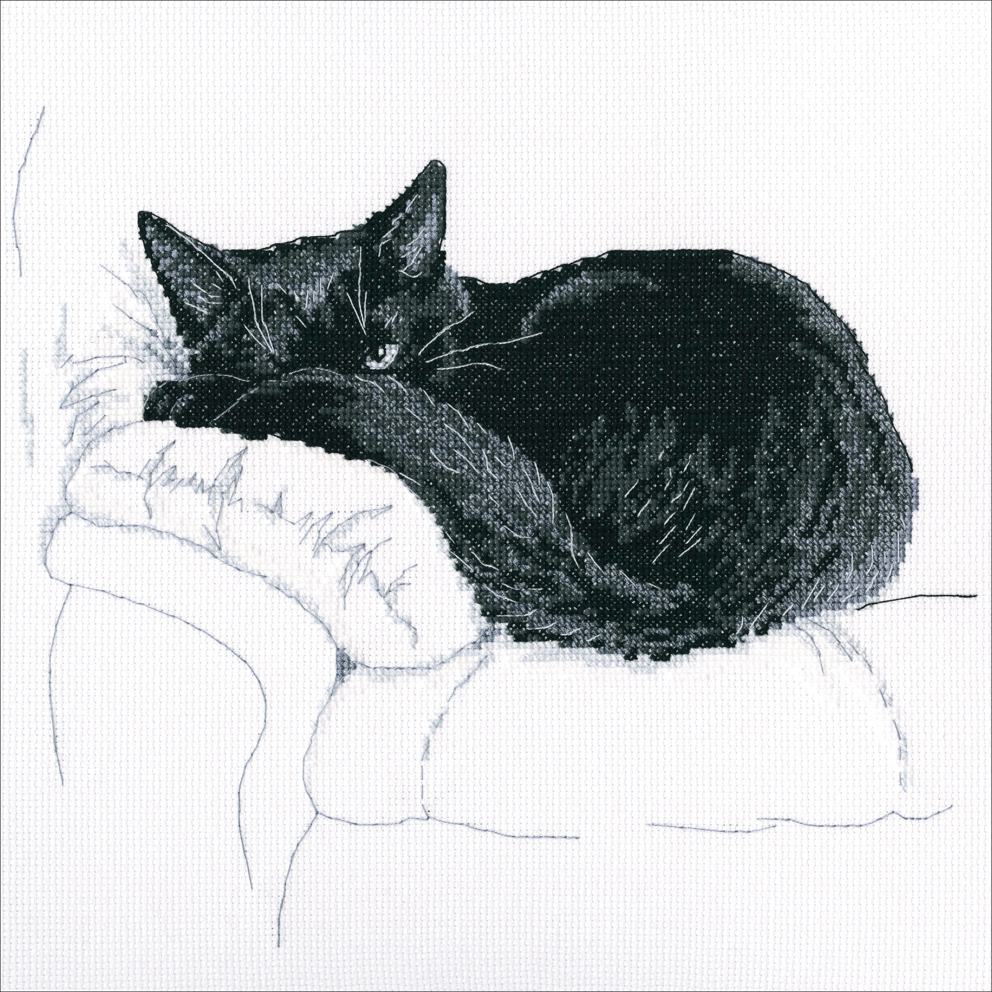 RTO Among Black Cats I Counted Cross Stitch Kit