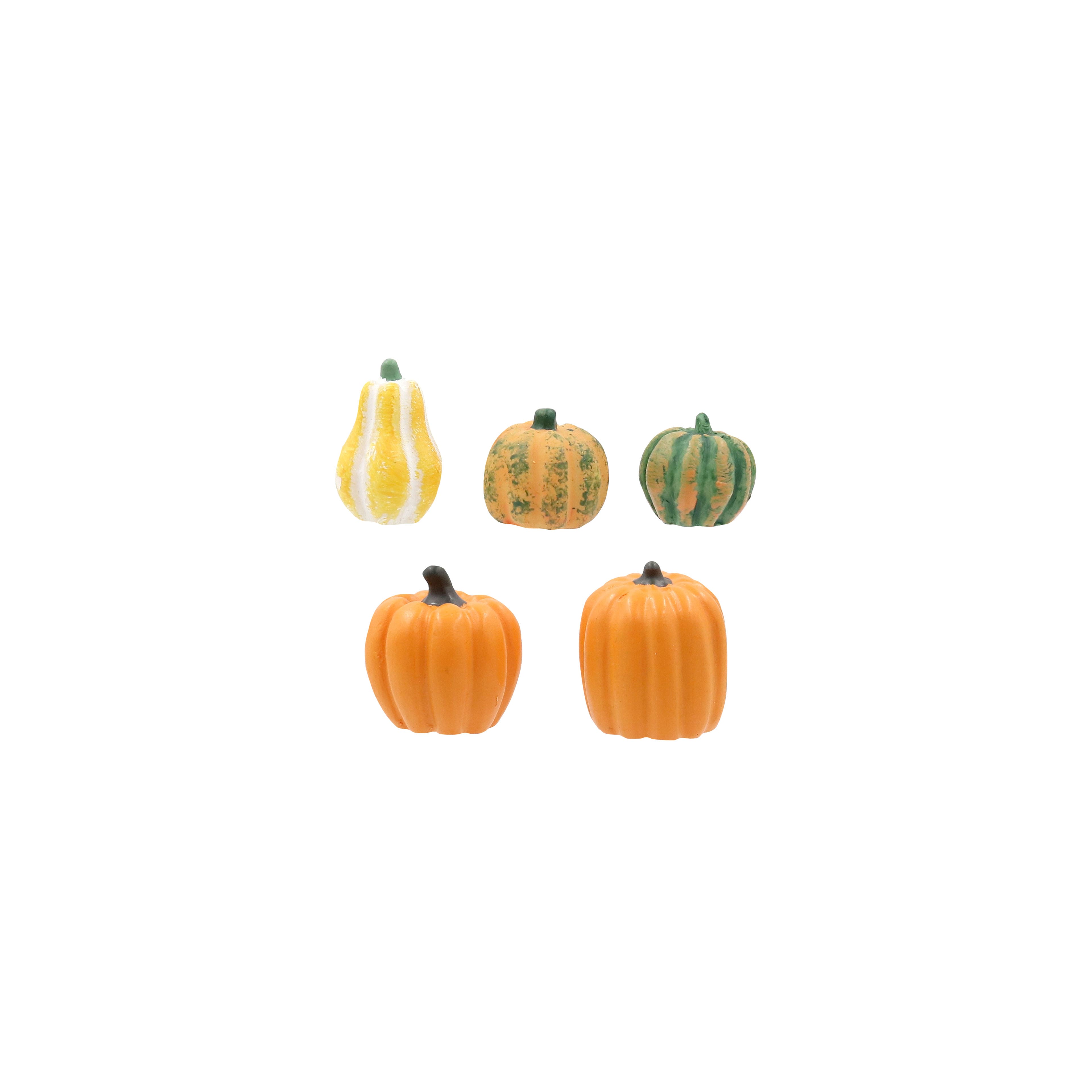 Mini Gourd Set by Ashland&#xAE;