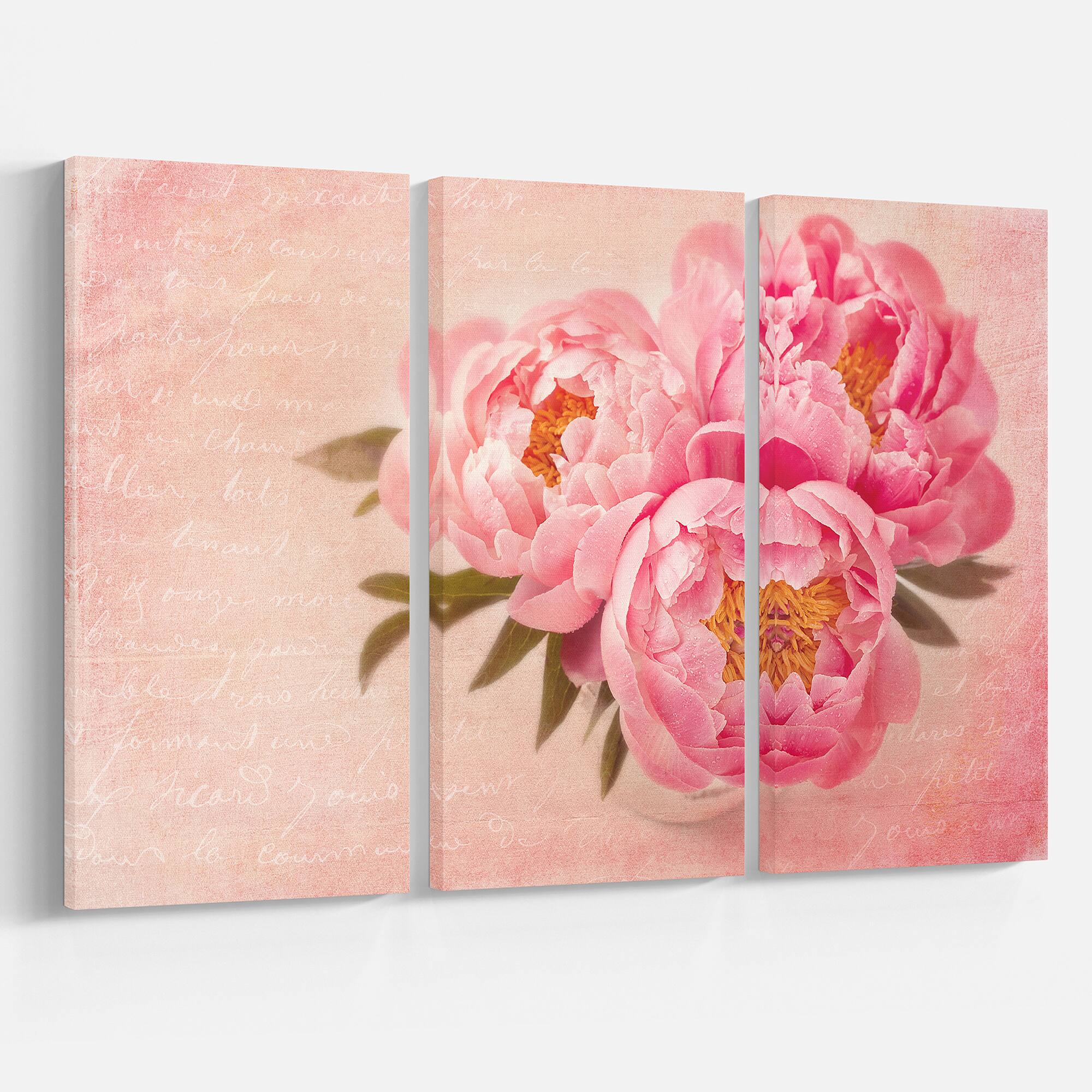 Designart - Peony Flowers against Scribbled Back - Floral Canvas Art Print