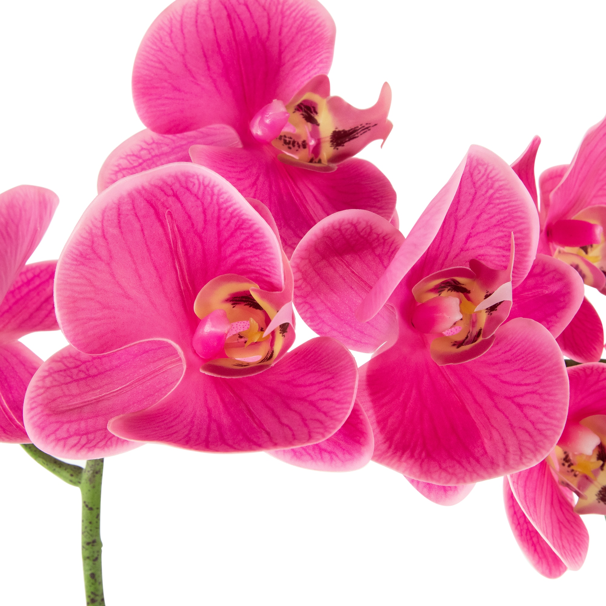 24" Real Touch™ Pink Orchid in a Striped Ceramic Pot