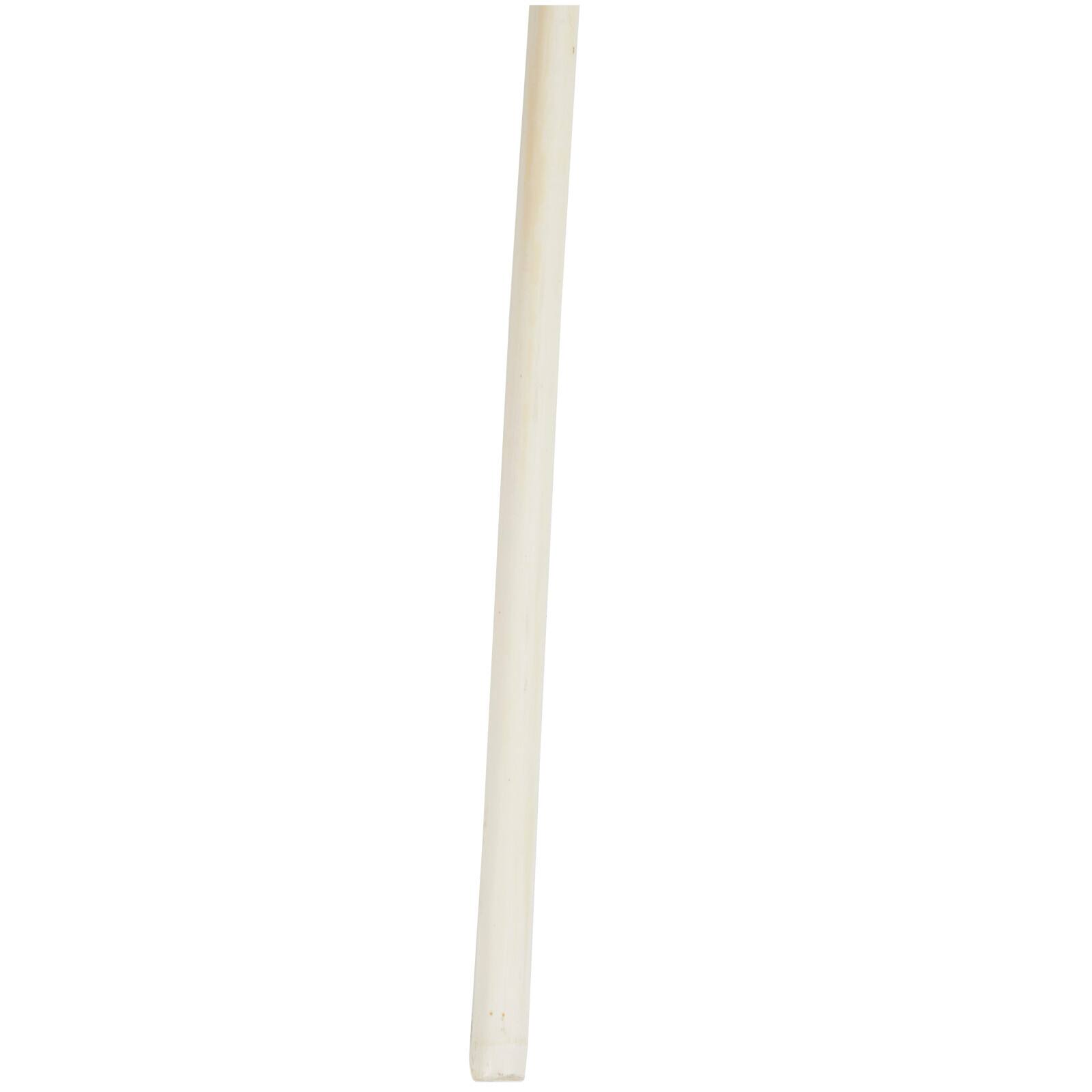 Cream Pampas Grass Stem