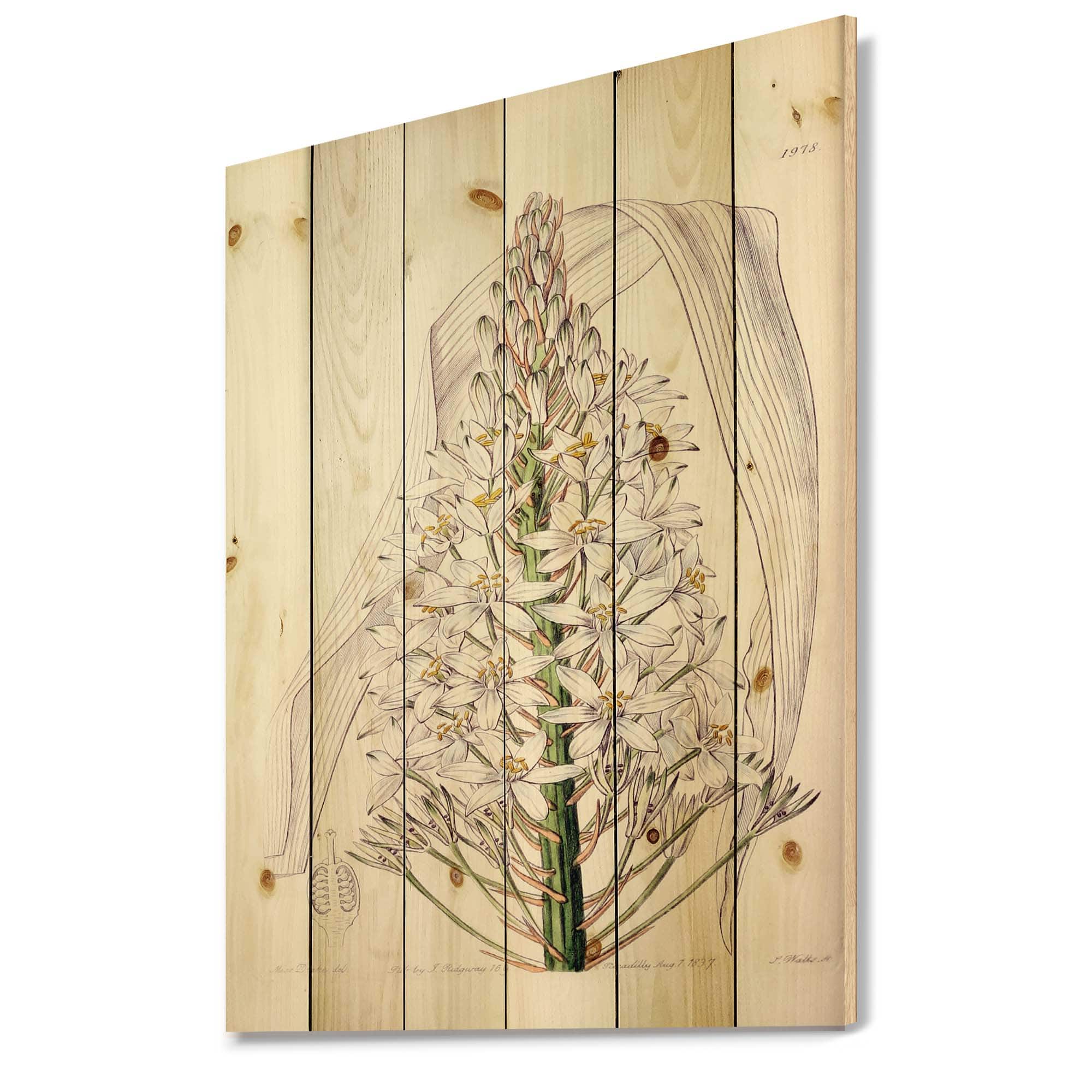 Designart - Vintage White Orchid I - Traditional Print on Natural Pine Wood