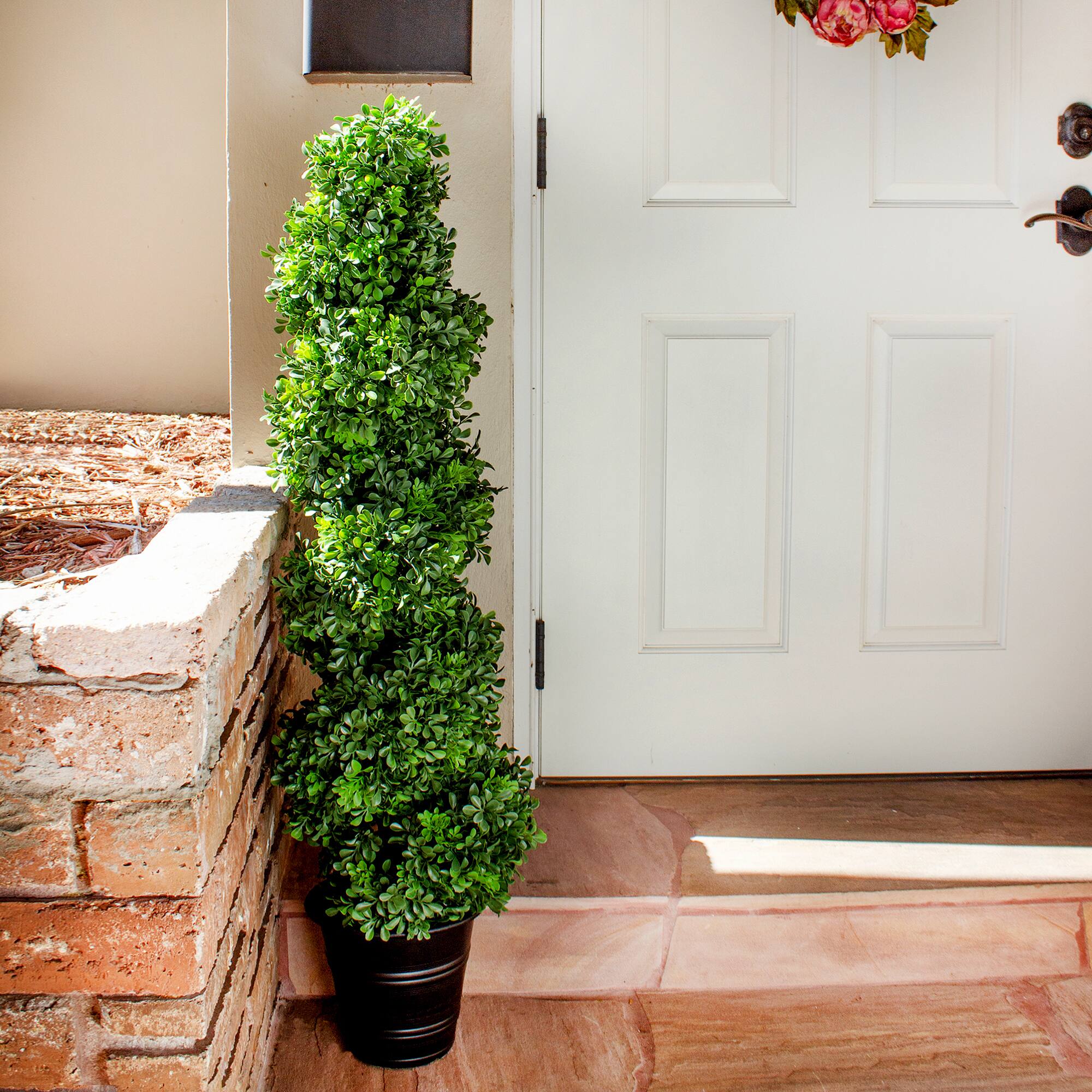 4ft. Boxwood Spiral Topiary in Planter