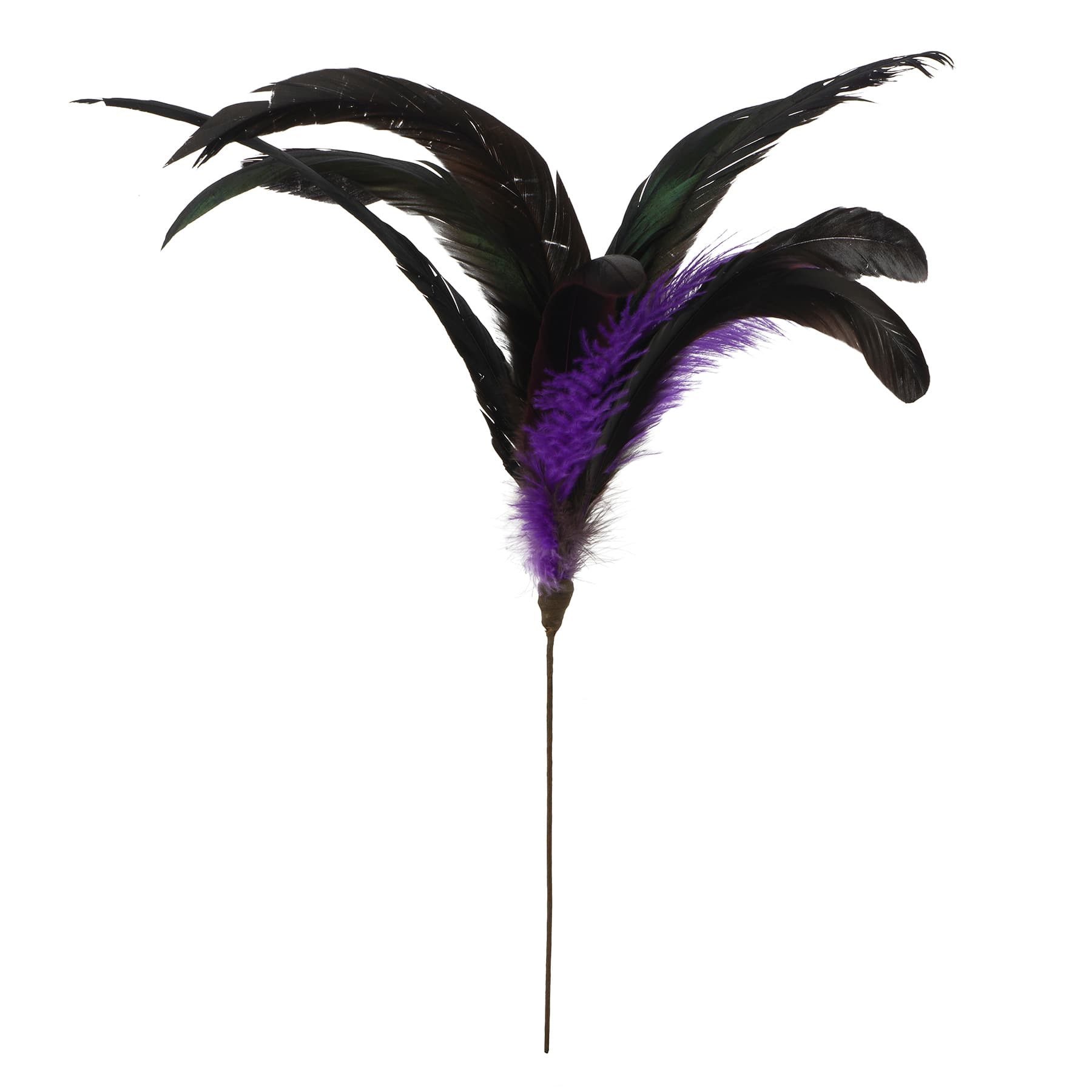 Halloween Feather Pick by Ashland&#xAE;