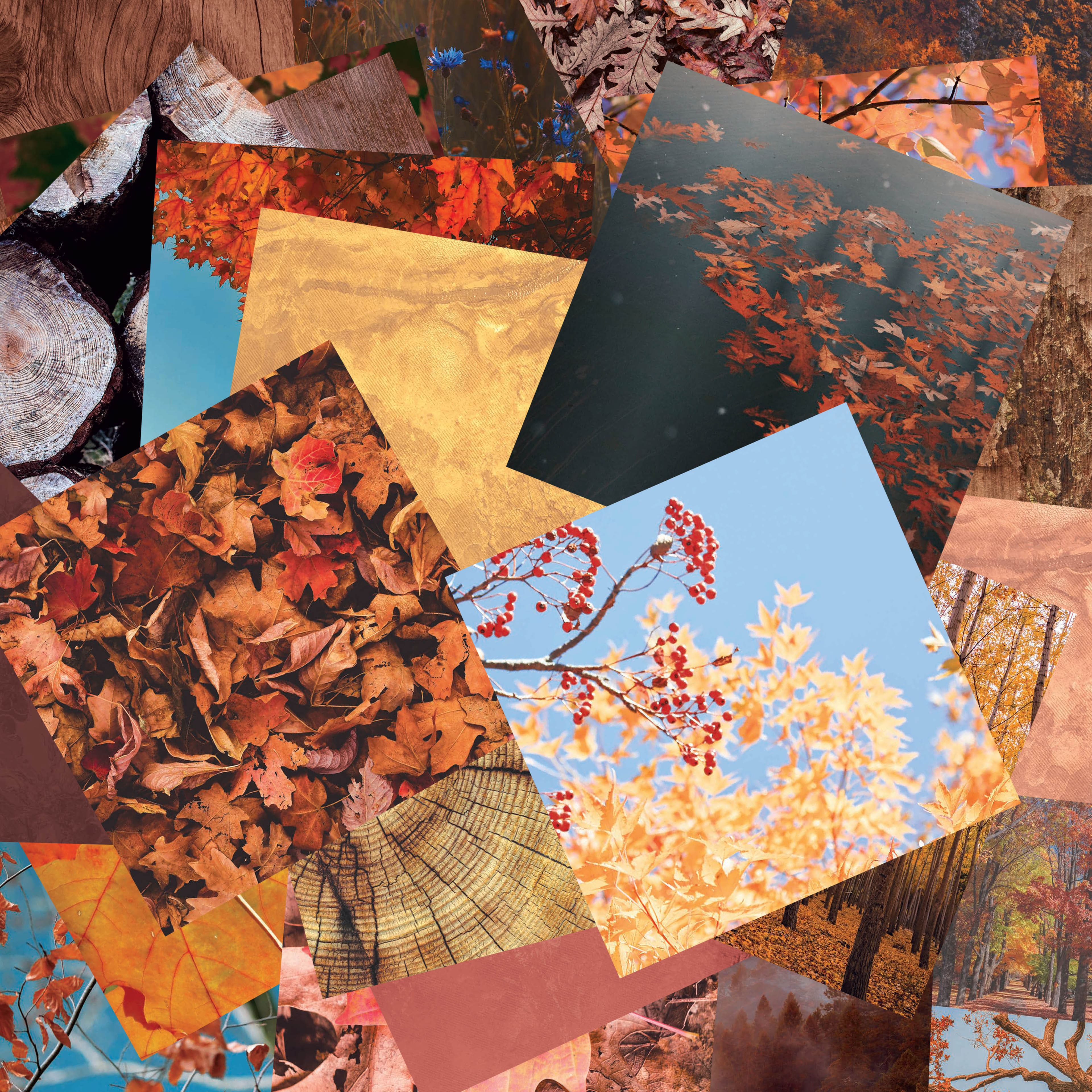 Craft Smith 12&#x22; x 12&#x22; Autumn Textures Paper Pad