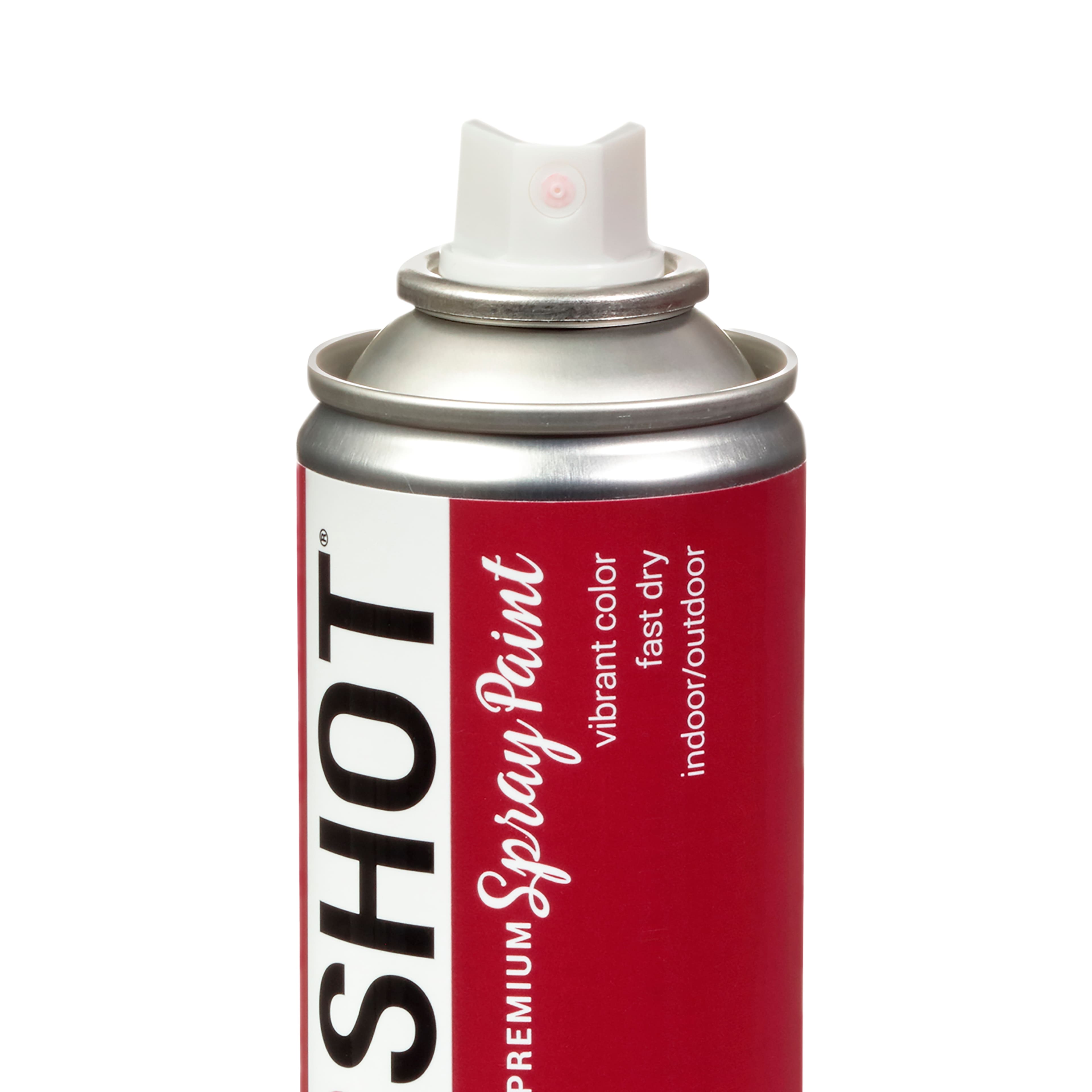 COLORSHOT® Premium Gloss Spray Paint